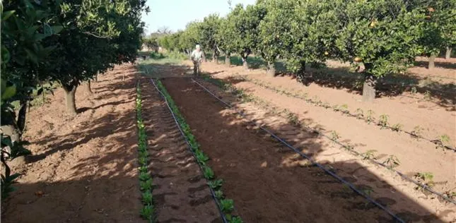 Day in Agriturismo Santa Chiara