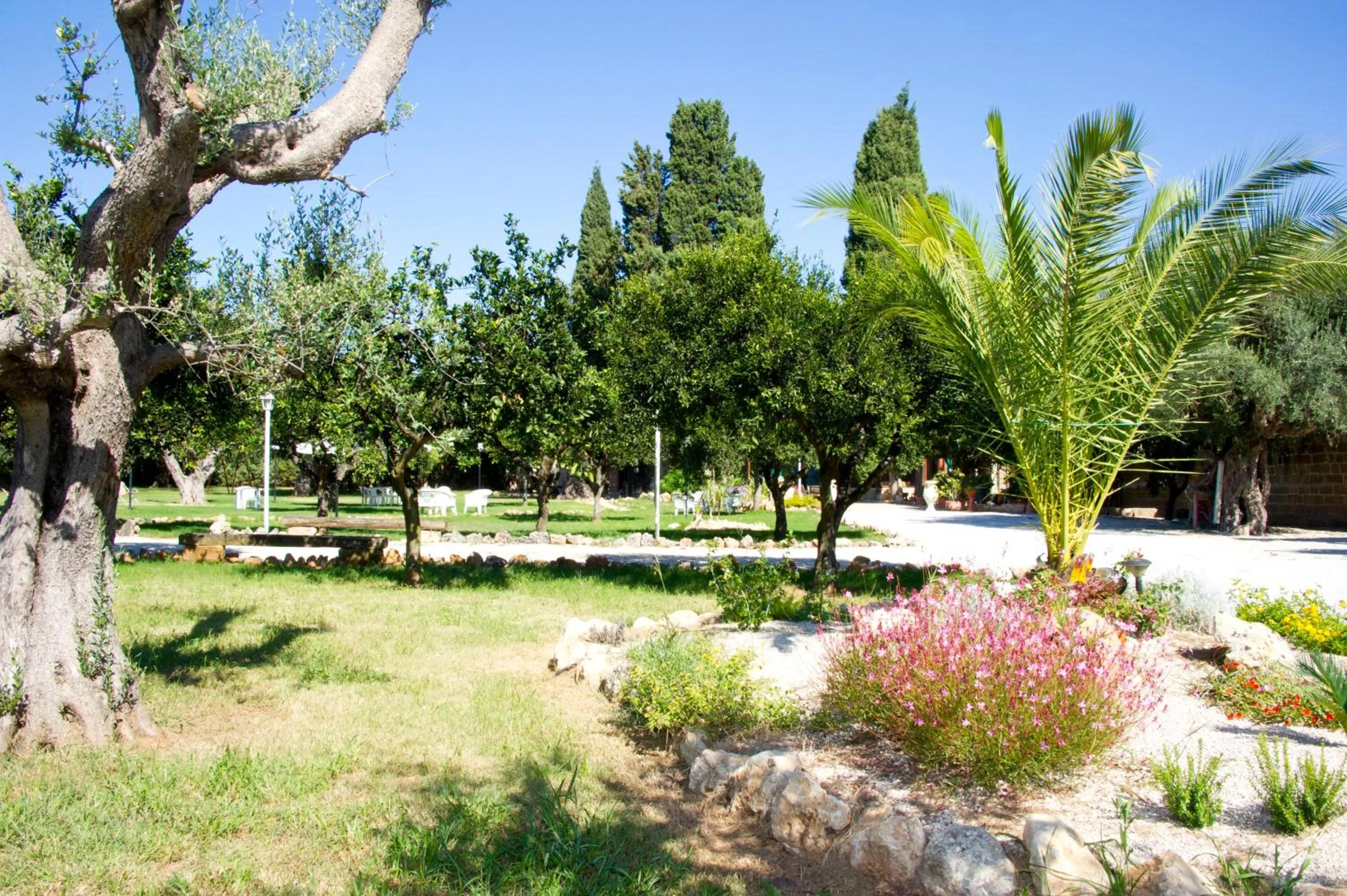 Garden in Agriturismo Santa Chiara