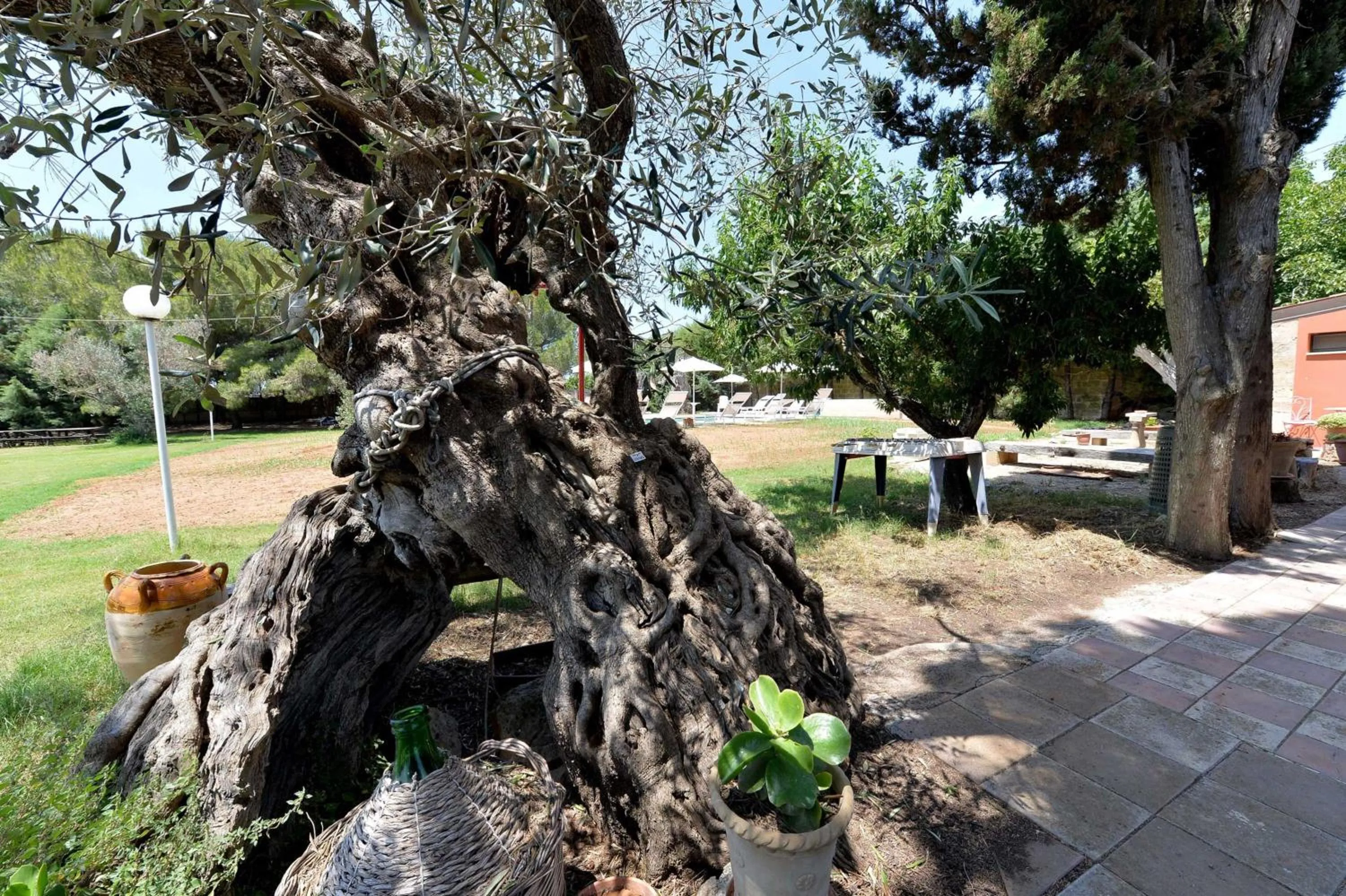 Garden in Agriturismo Santa Chiara