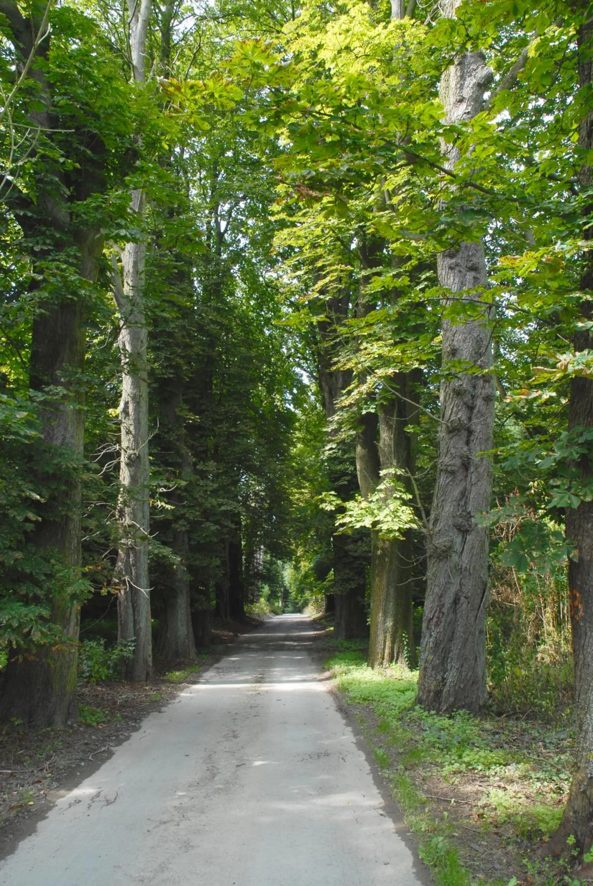 Hotel Restaurant La Ferme de Grambais
