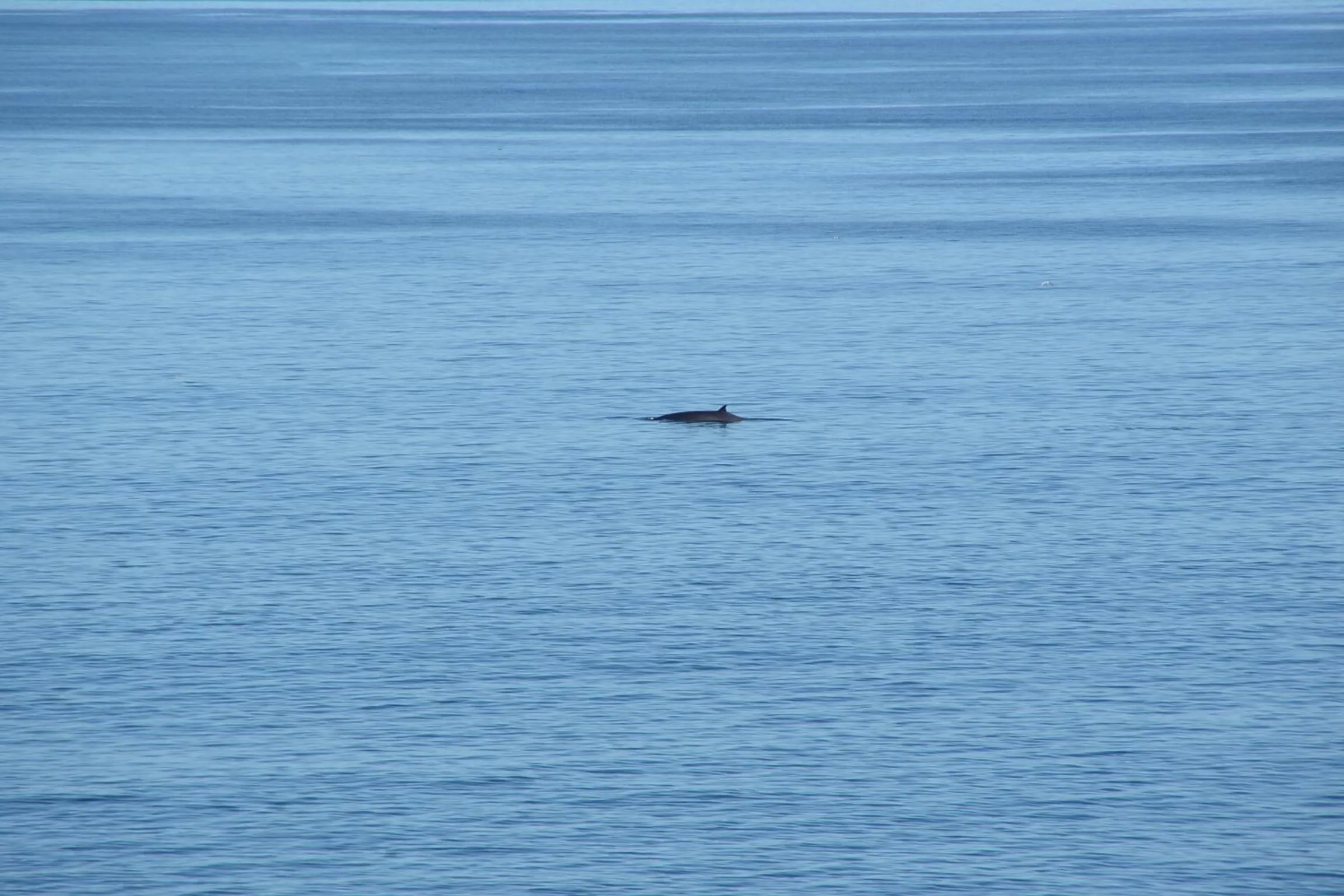 View (from property/room) in Sea Star Cliff