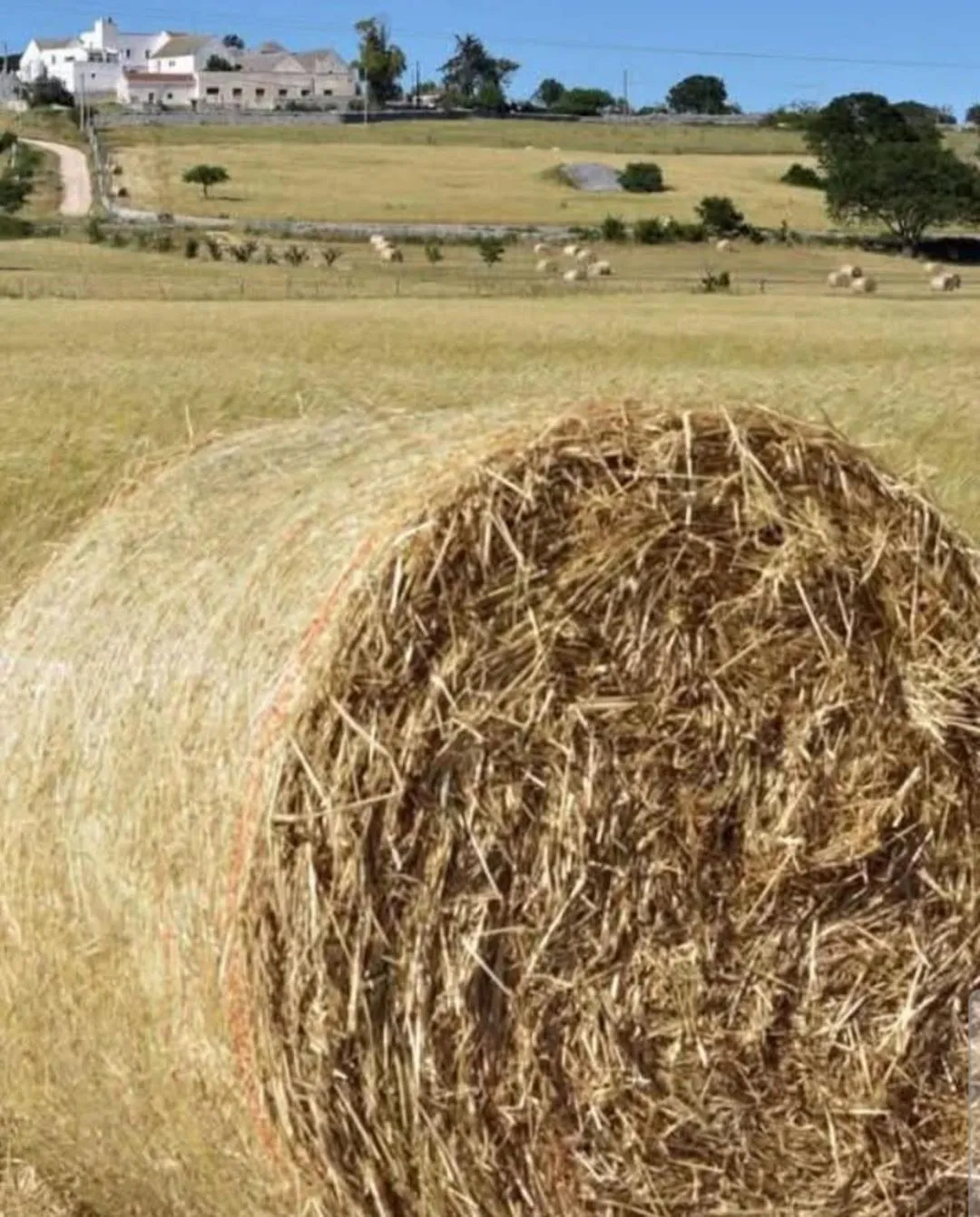 Day in B&B La Porta Vecchia