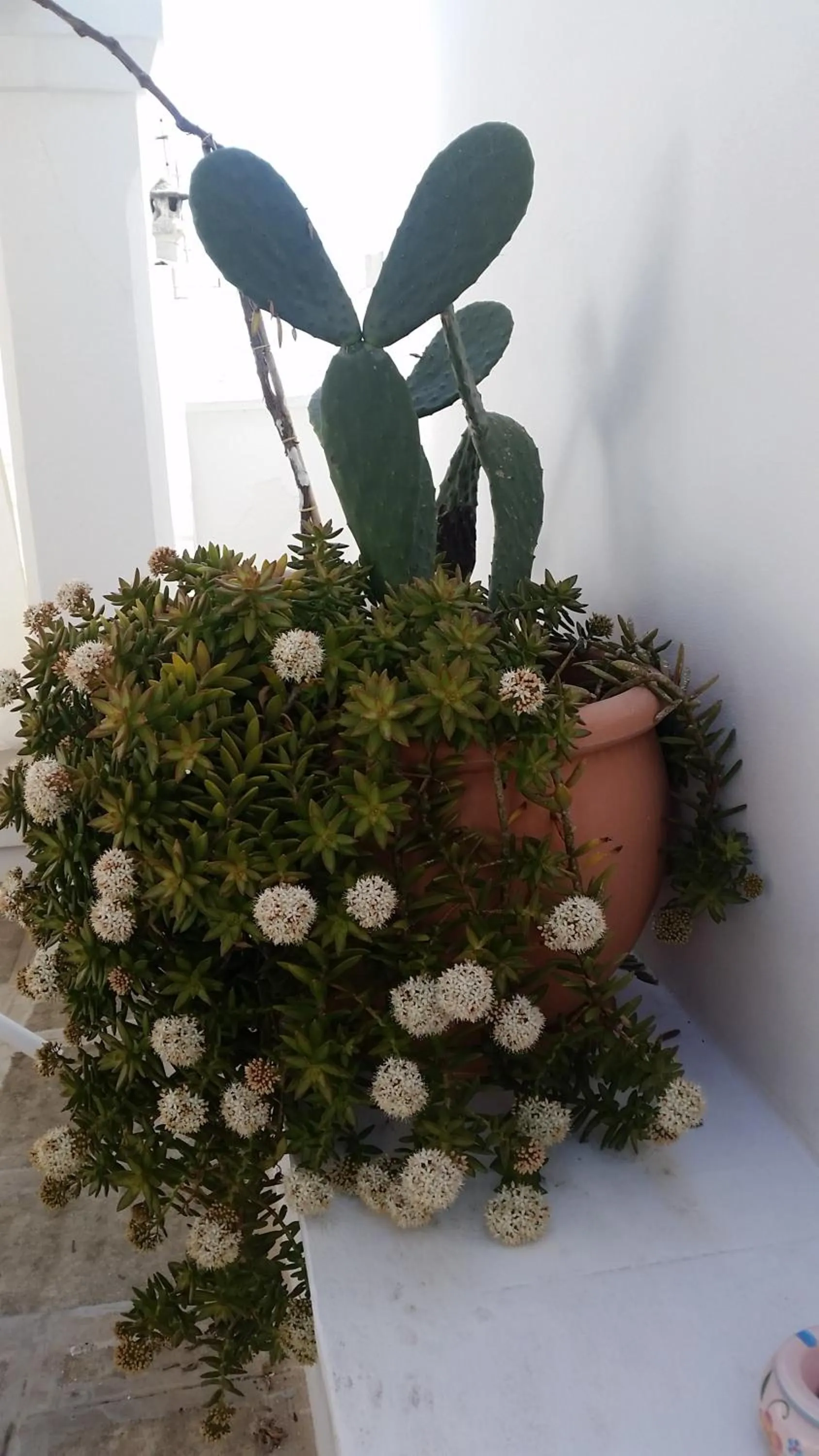 Balcony/Terrace in B&B La Porta Vecchia