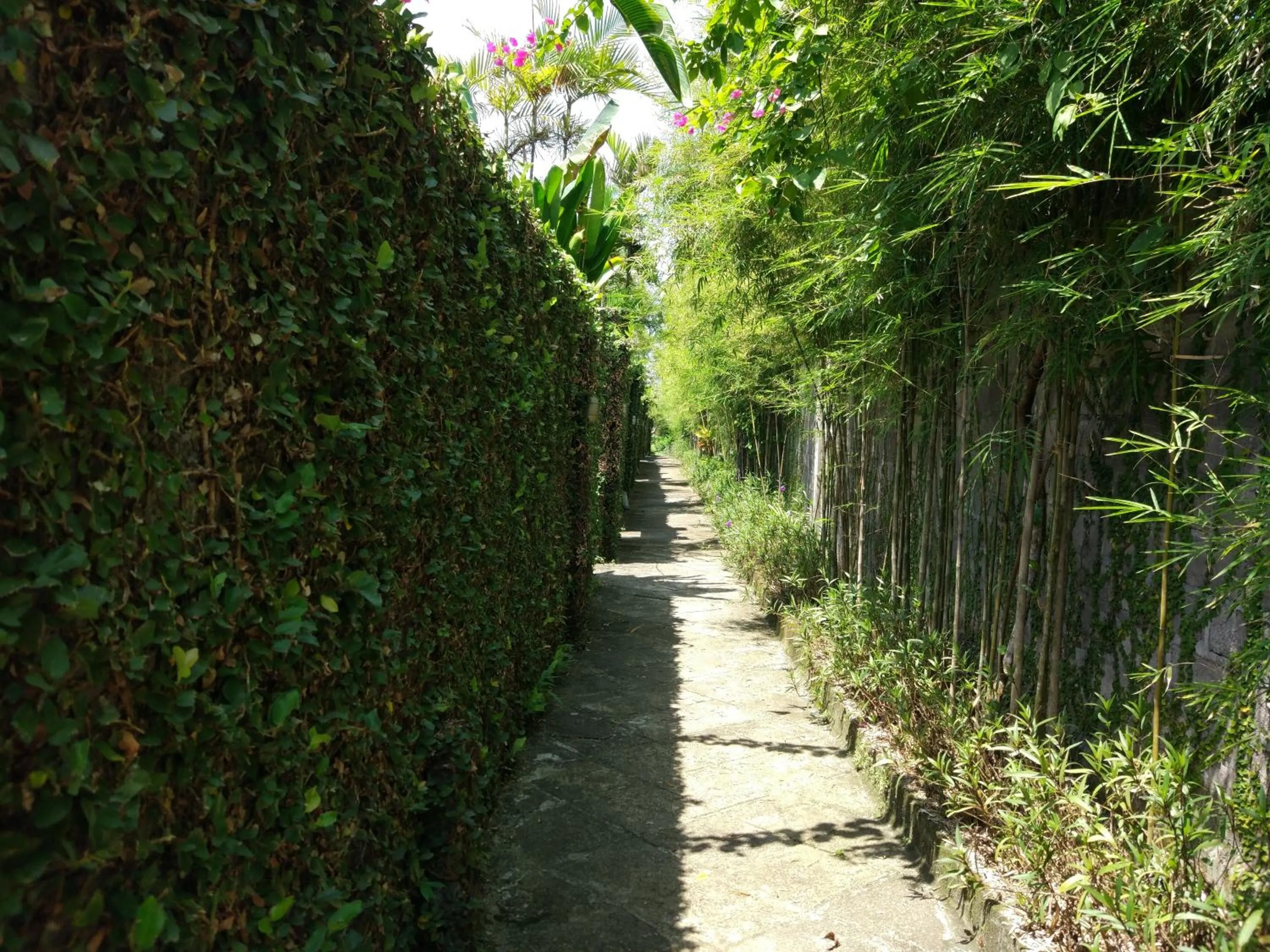Garden in Gajah Mina Beach Resort