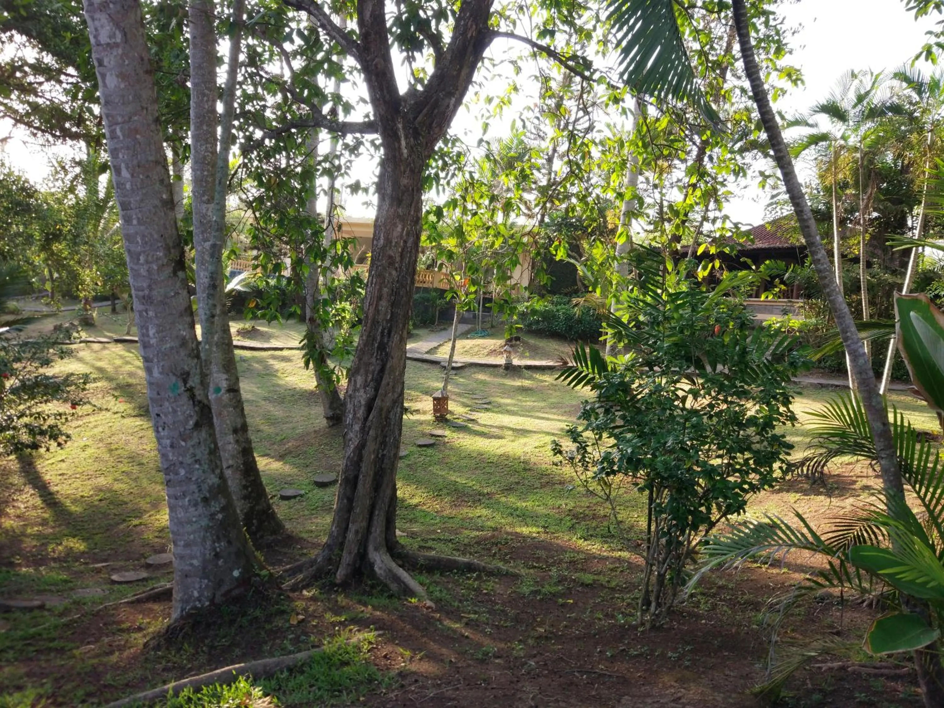 Natural landscape in Gajah Mina Beach Resort