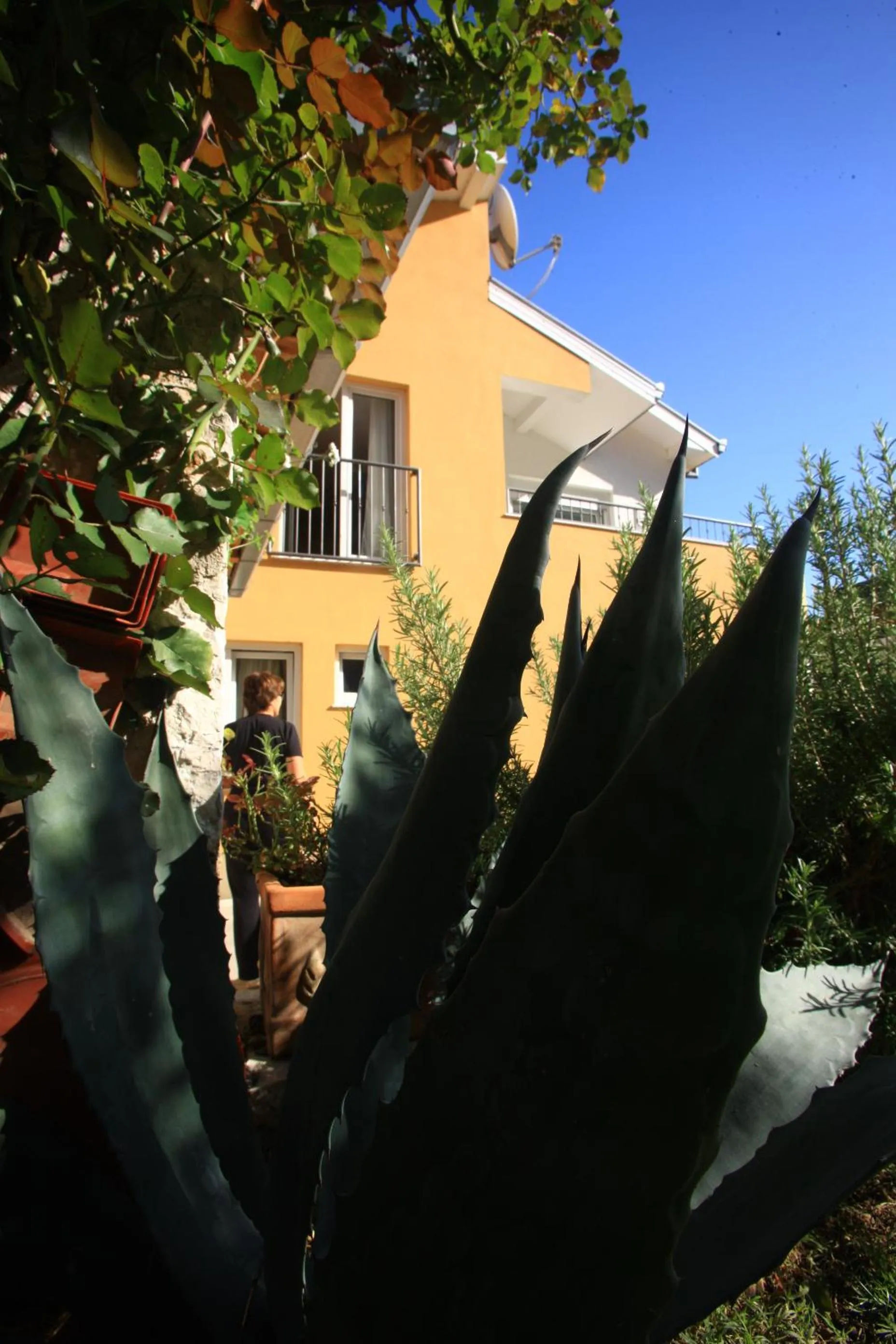 Facade/entrance in Pansion Rose