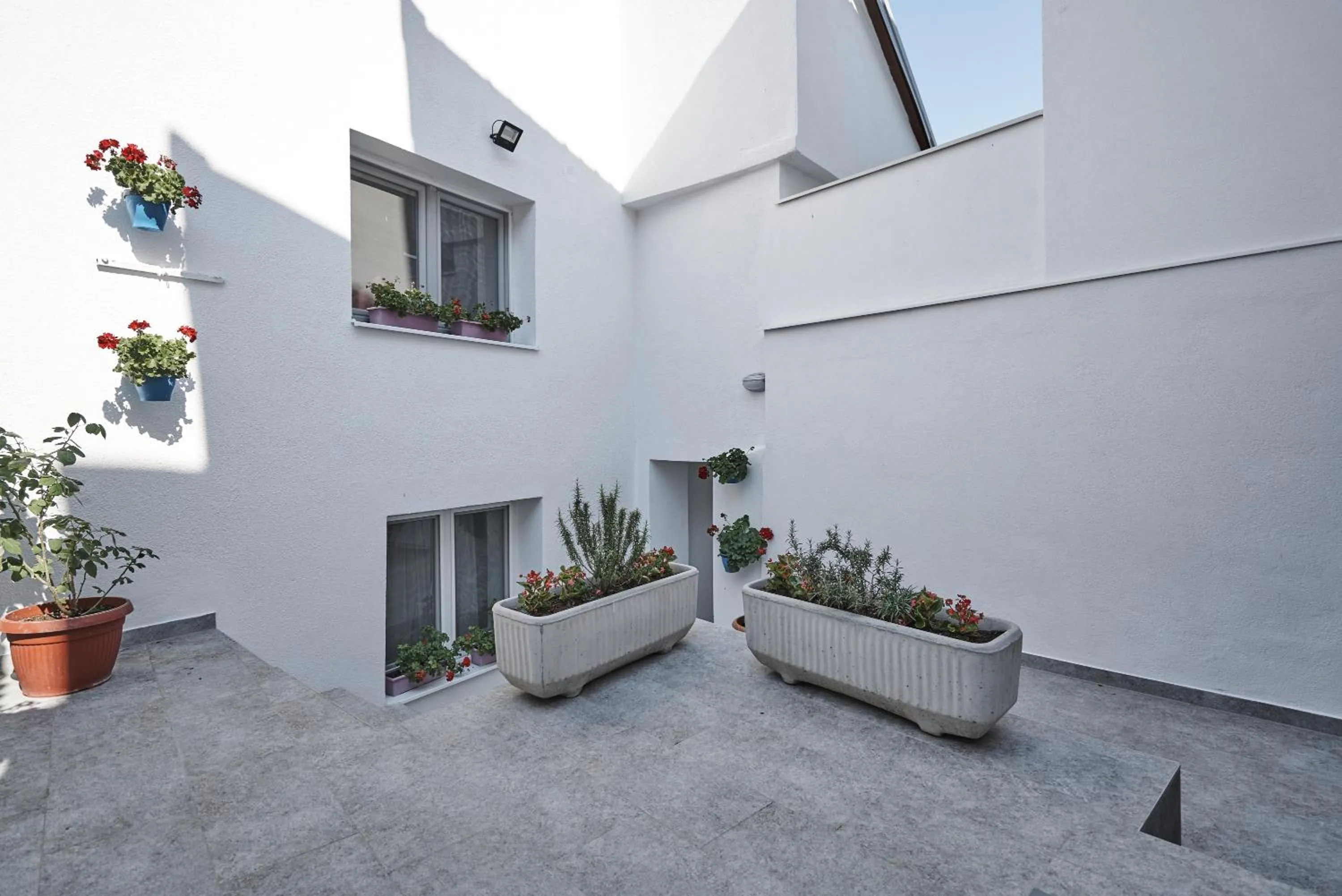 Decorative detail in Pansion Rose