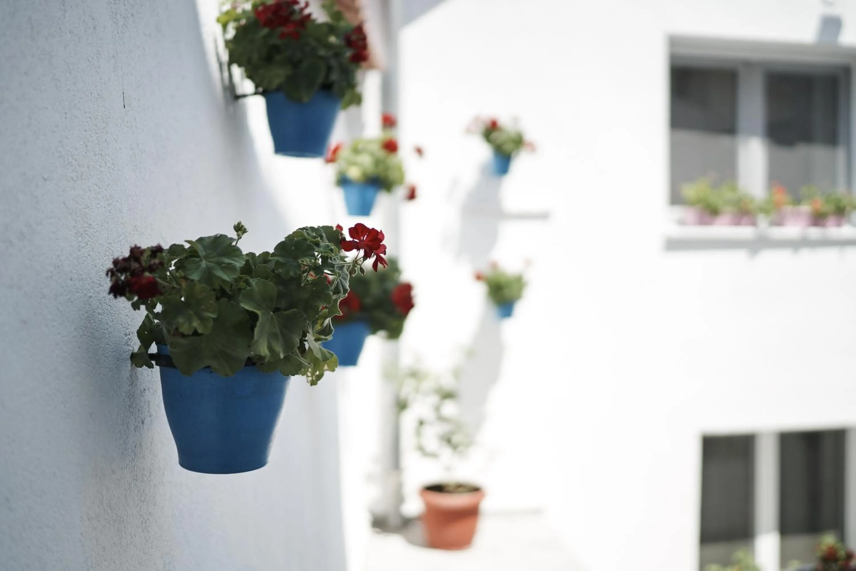 Decorative detail in Pansion Rose