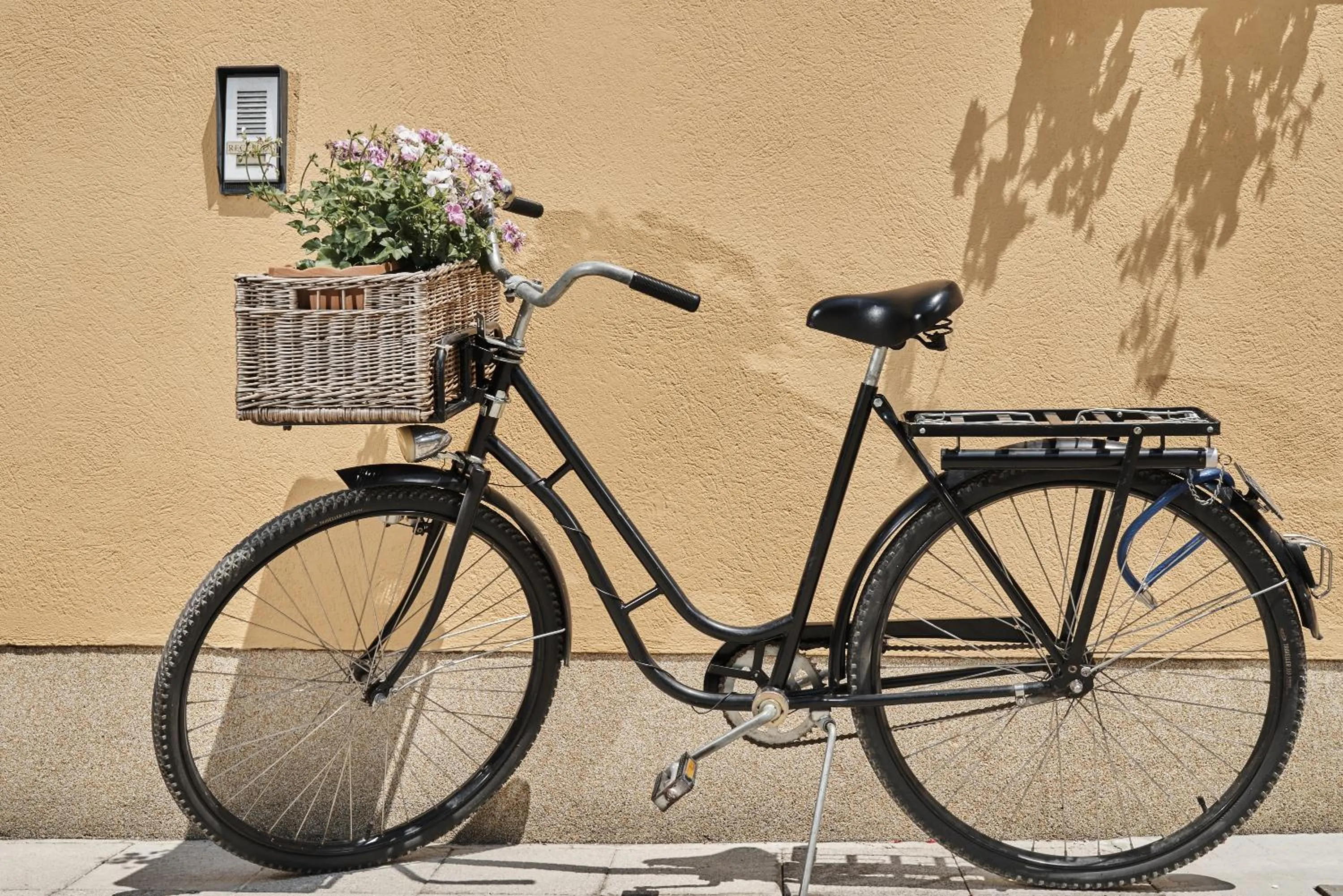 Decorative detail in Pansion Rose