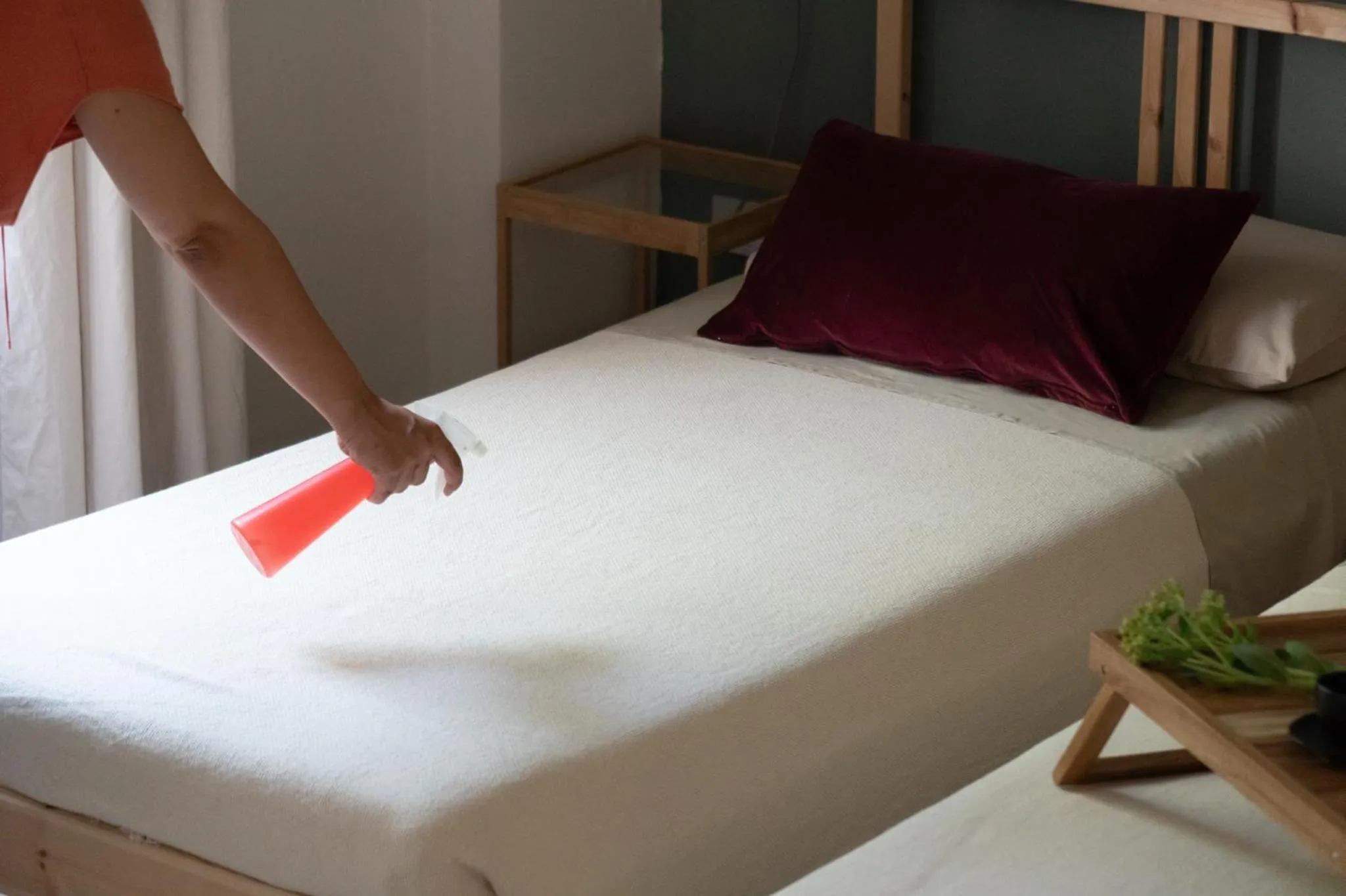 Staff, Bed in La Bastia - Bed & Soul