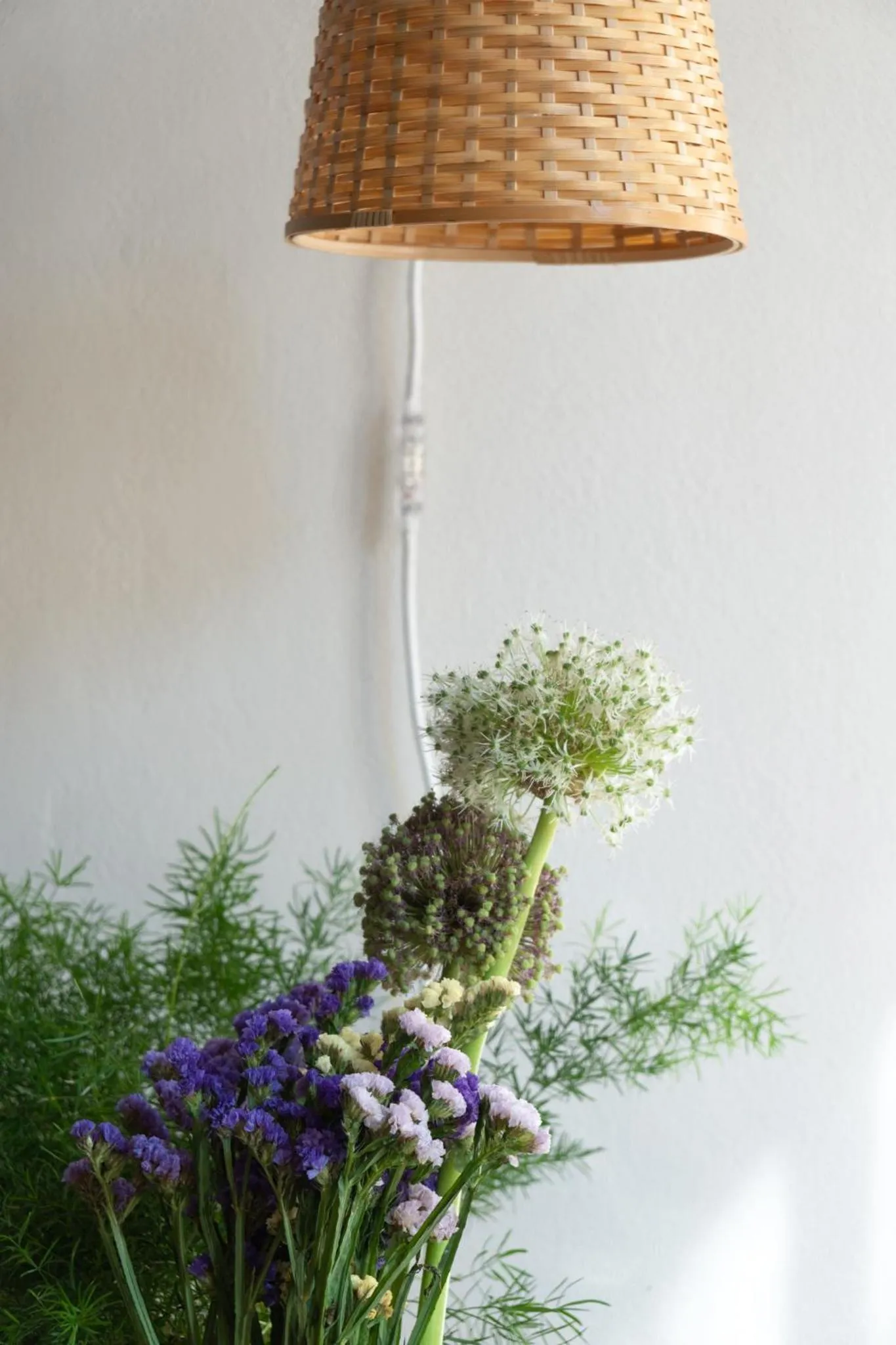 Activities in La Bastia - Bed & Soul