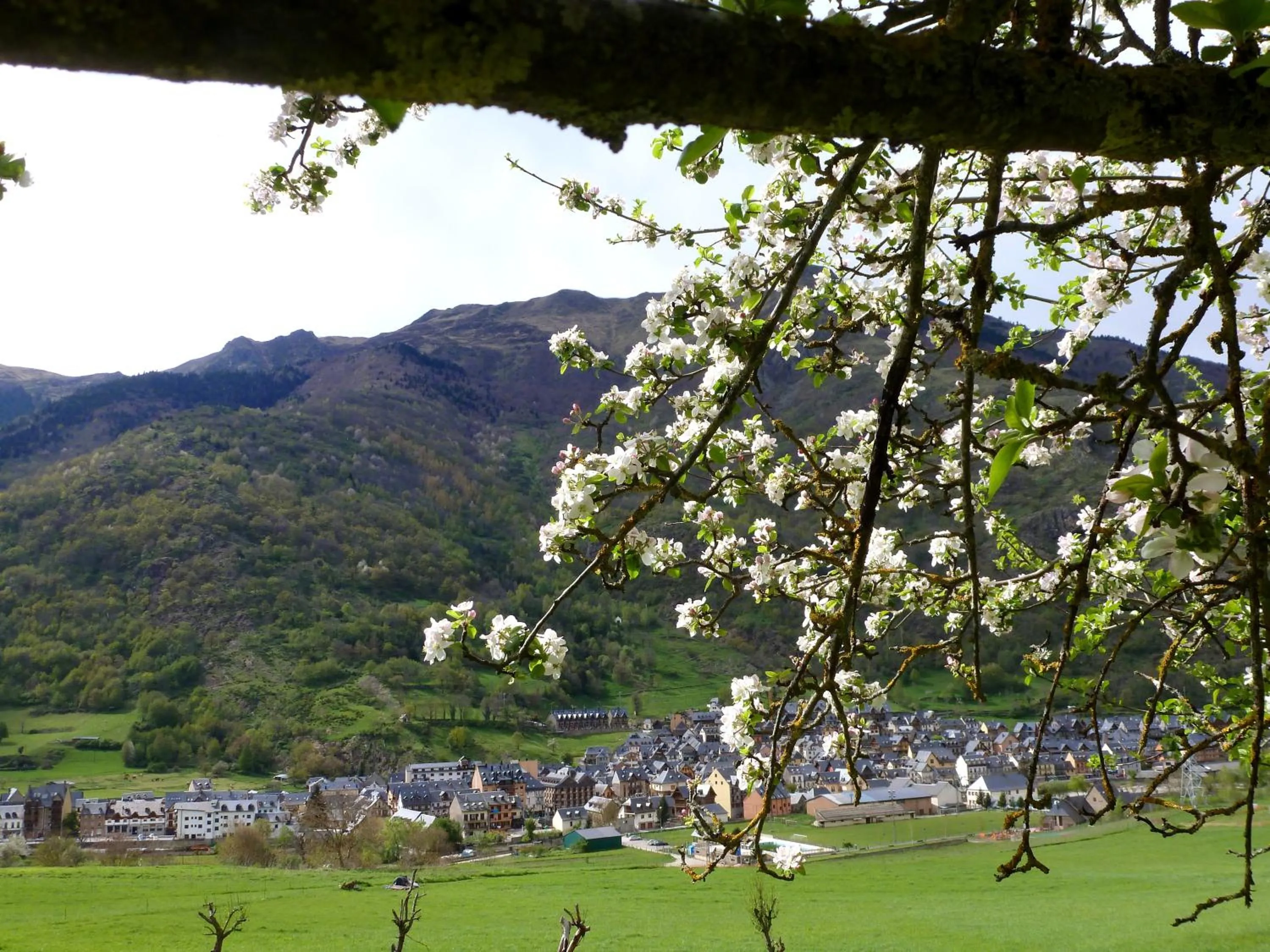 Area and facilities in Hotel Garona