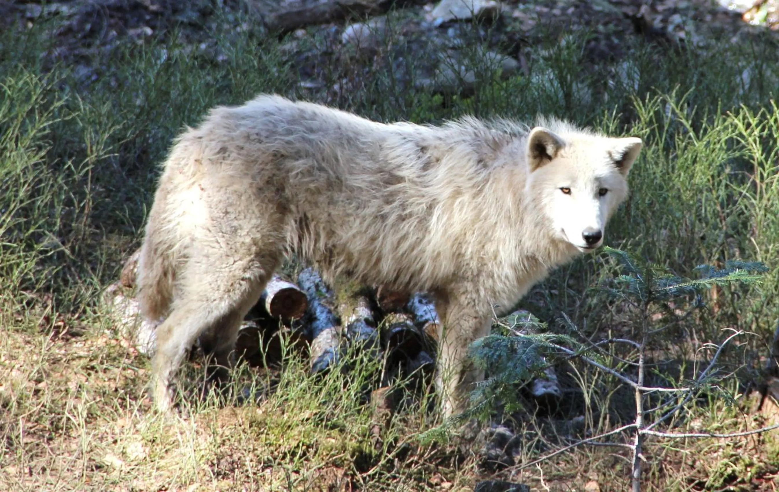 Other in Hotel Garona