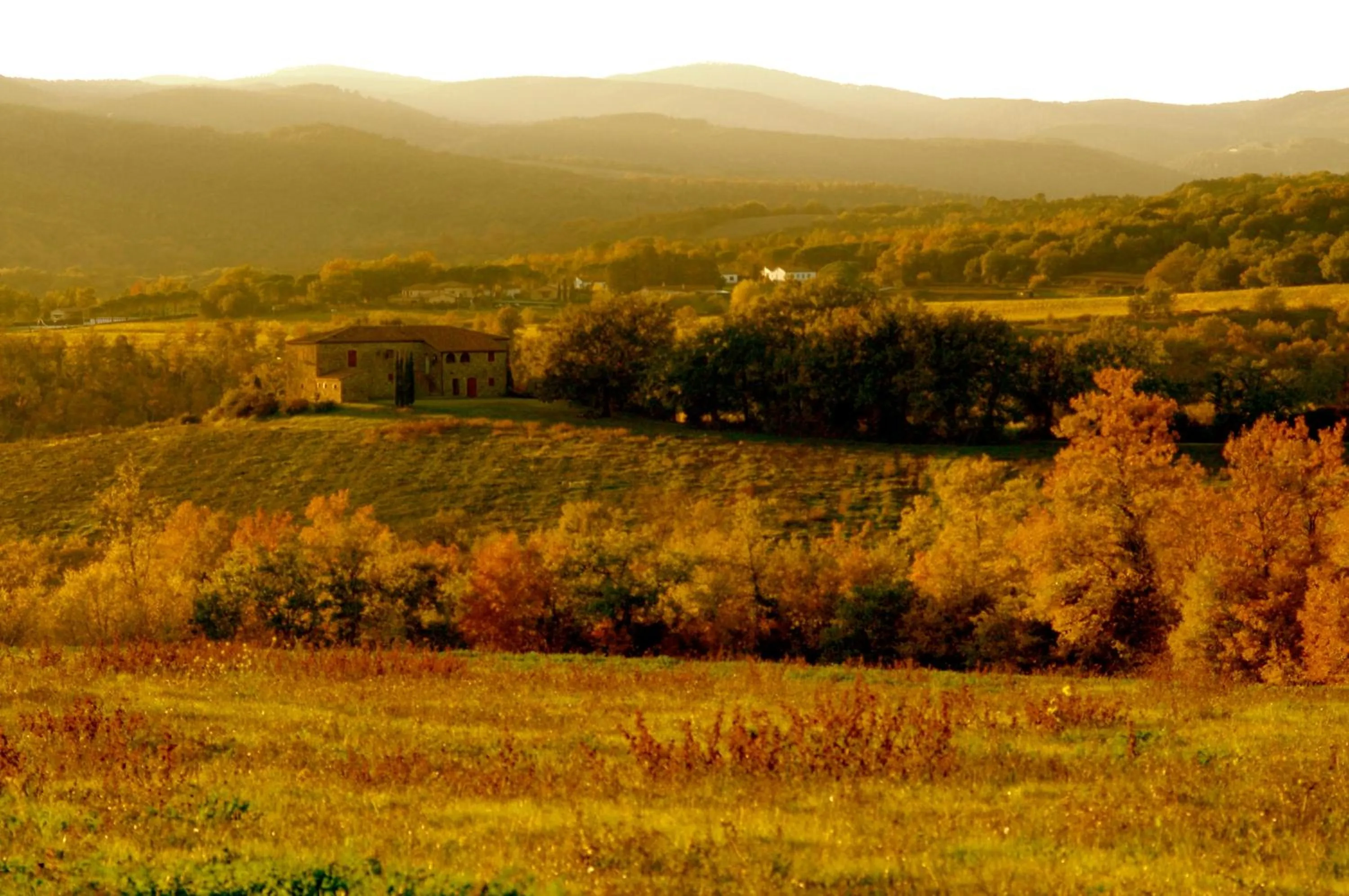 View (from property/room) in Tenuta Casabianca