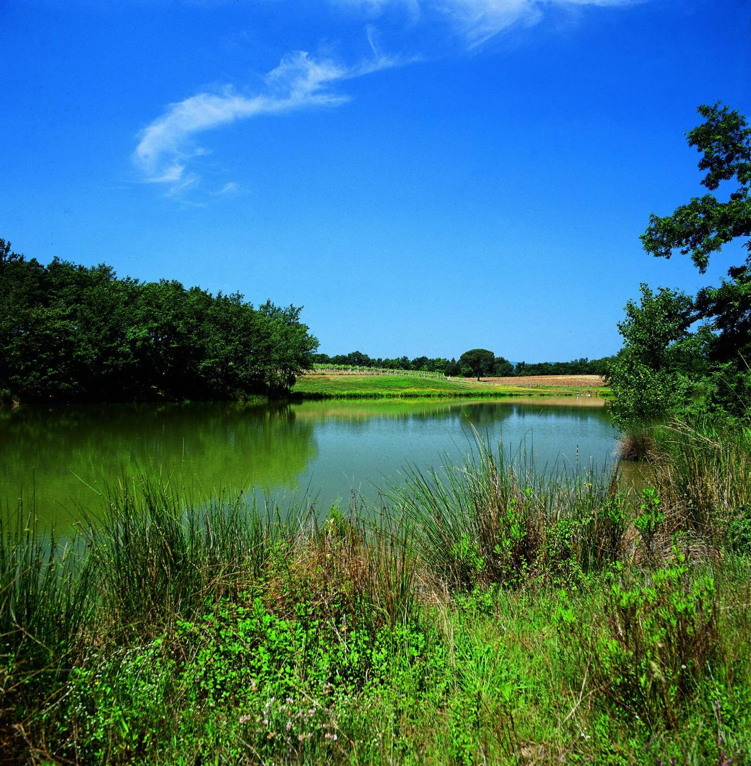 Lake view in Tenuta Casabianca