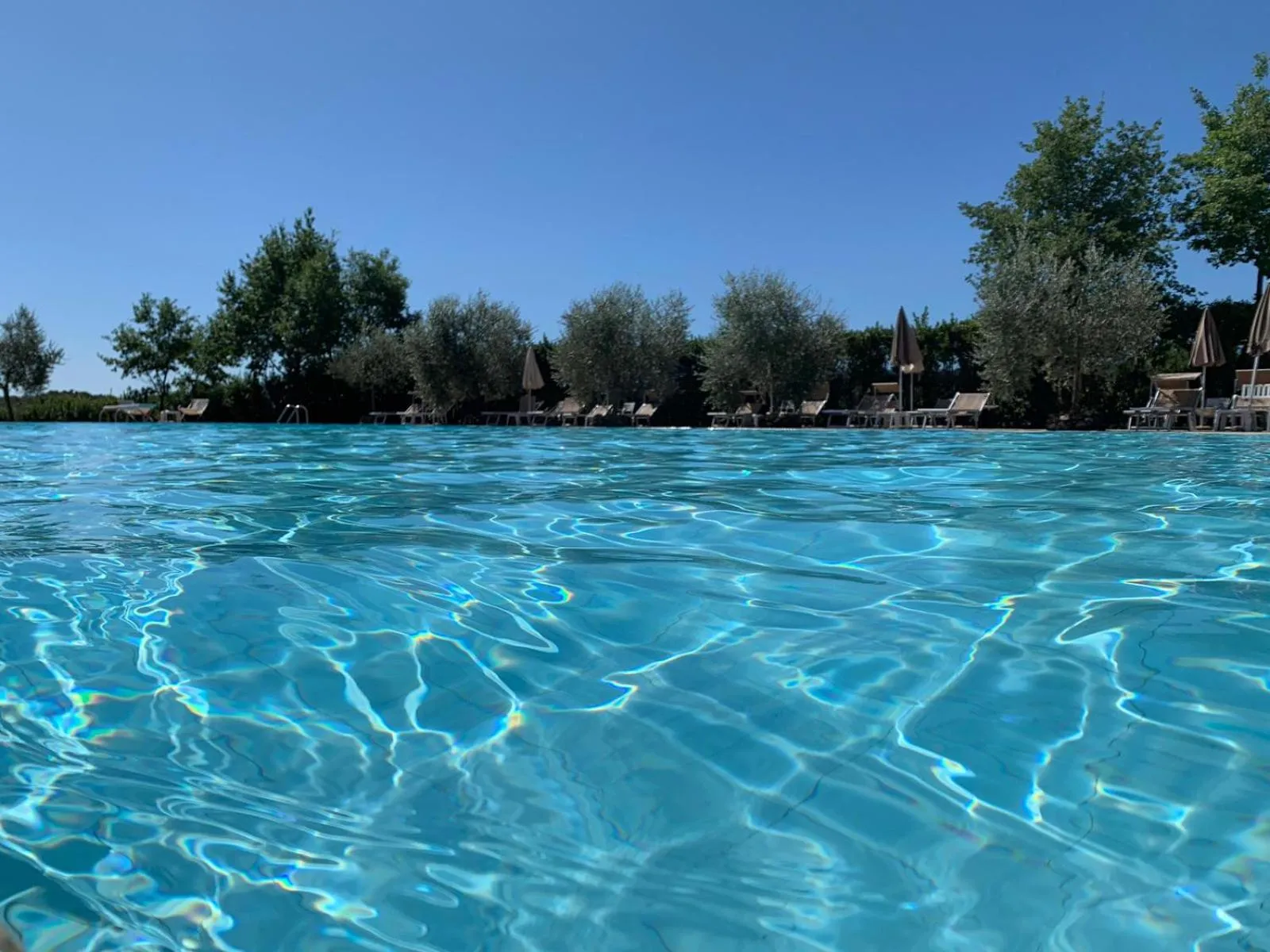 Swimming pool in Tenuta Casabianca