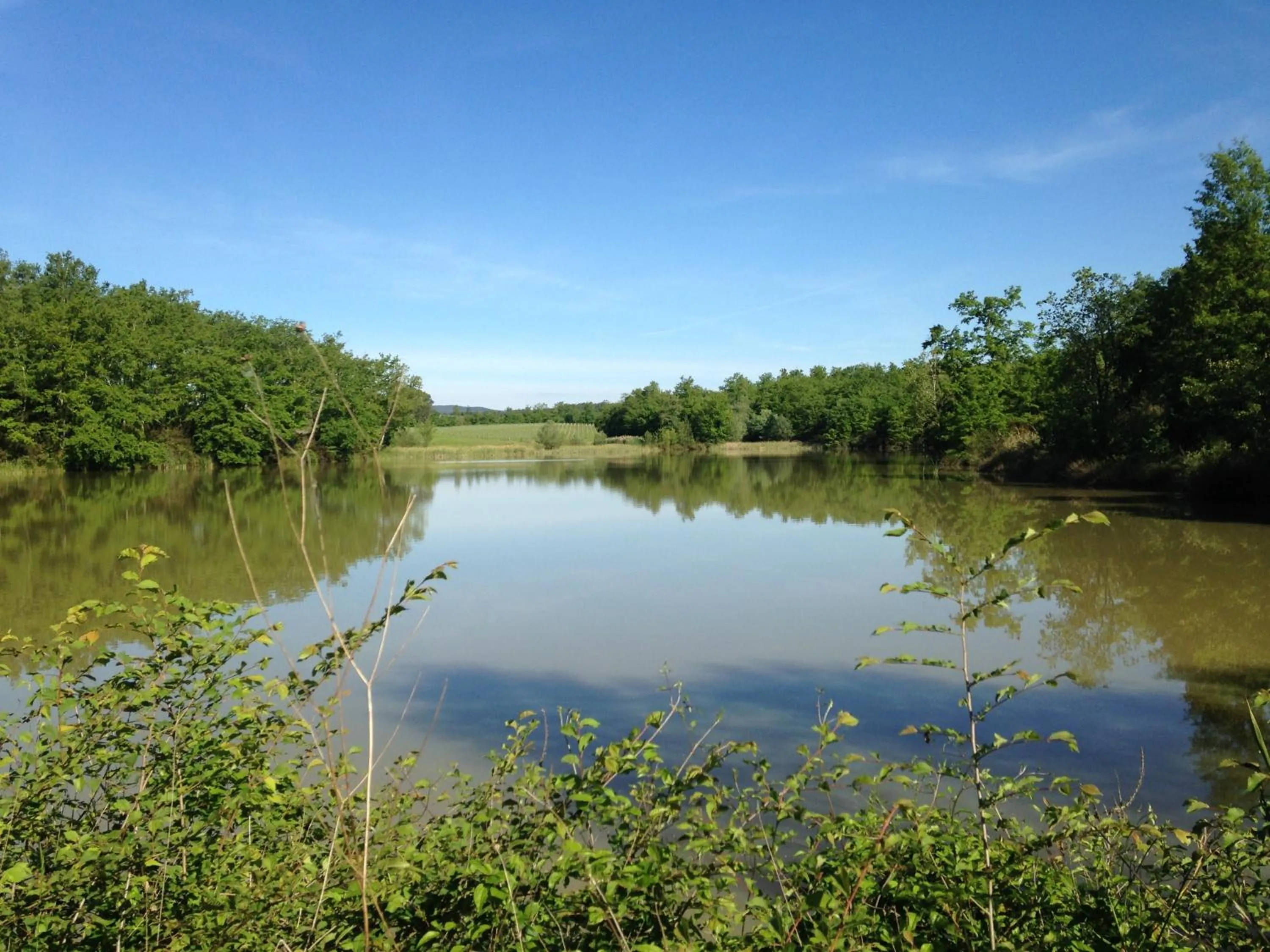 Fishing in Tenuta Casabianca