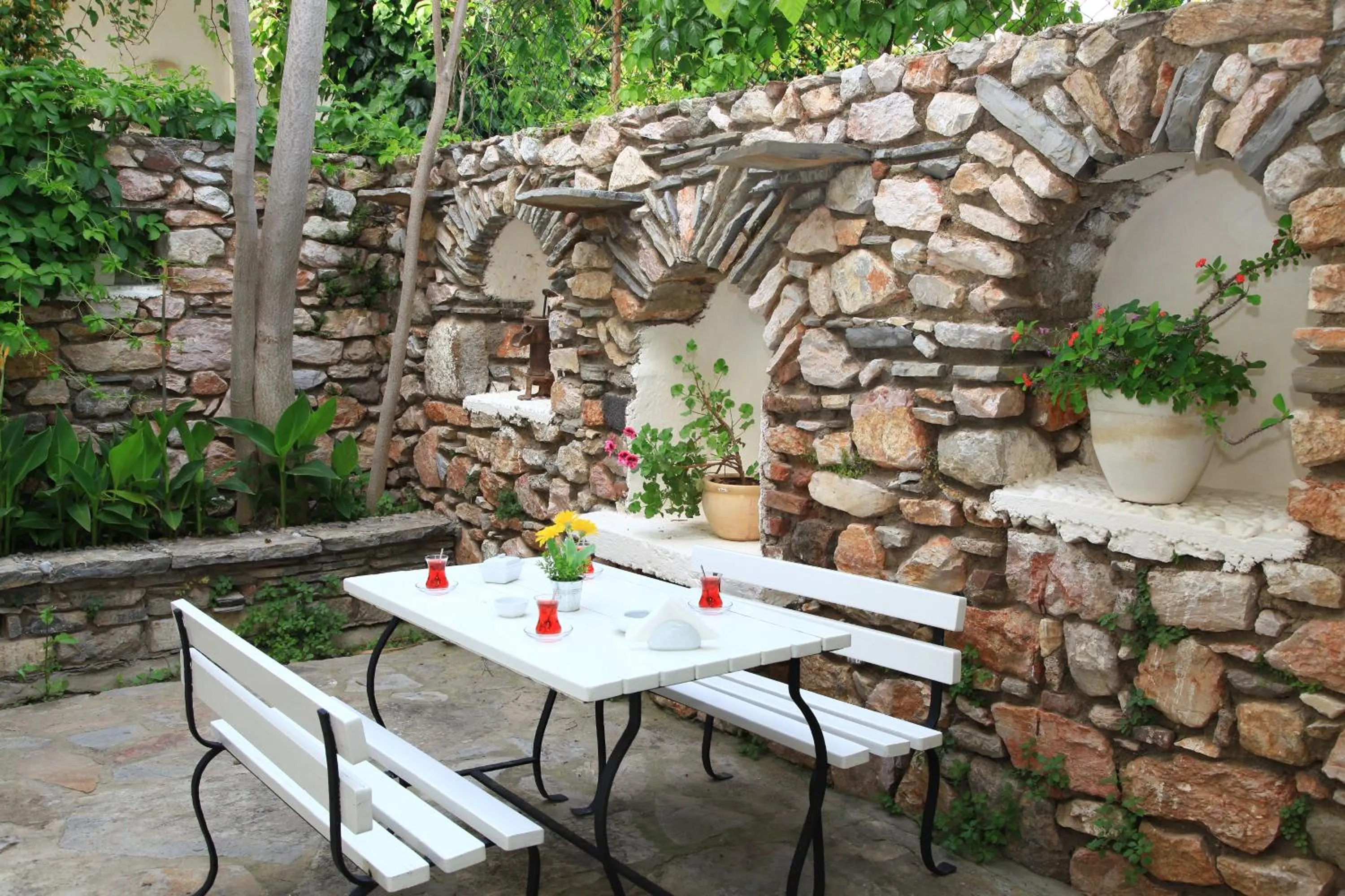Garden in Albatros Hotel