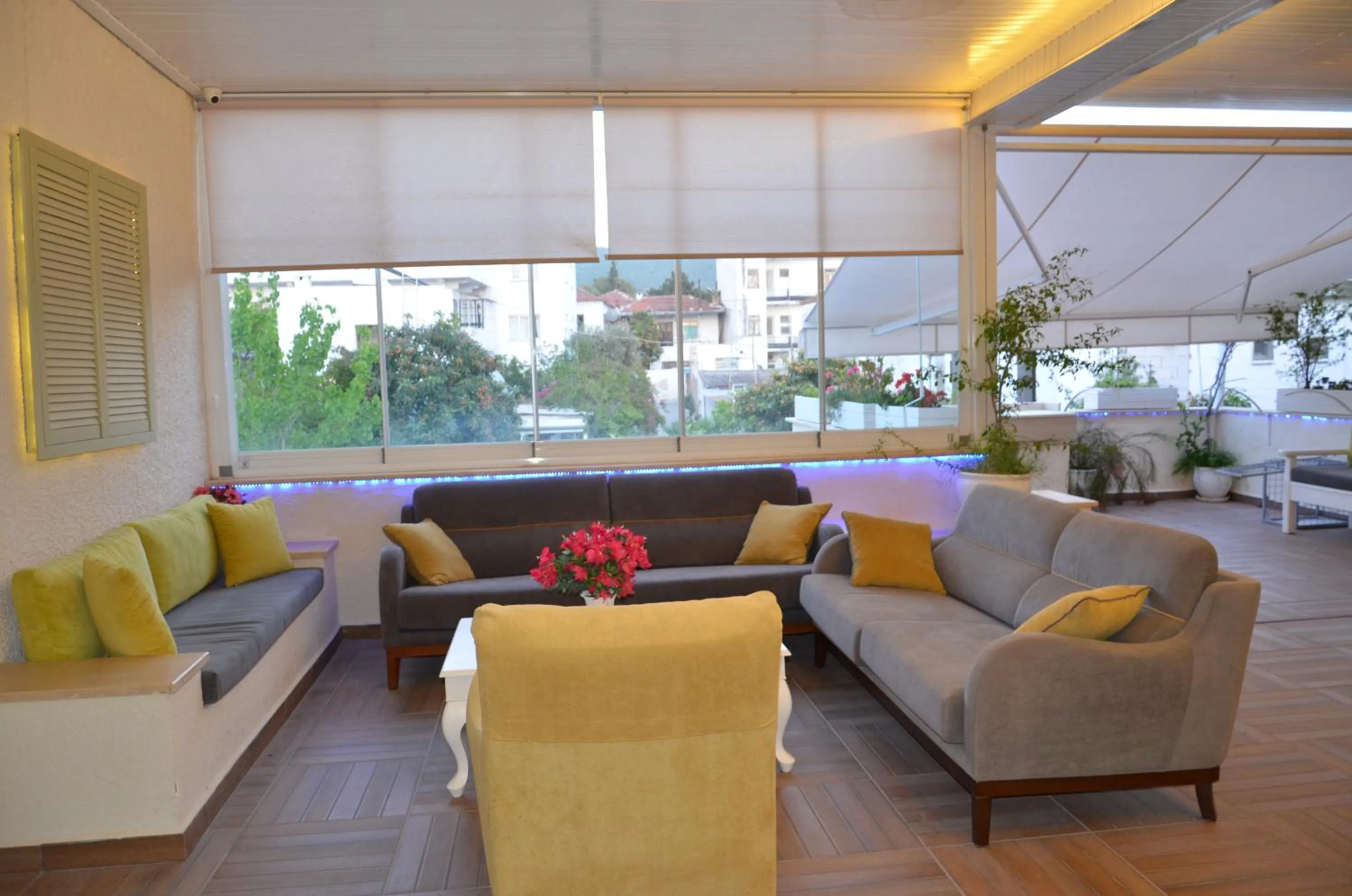 Garden in Albatros Hotel