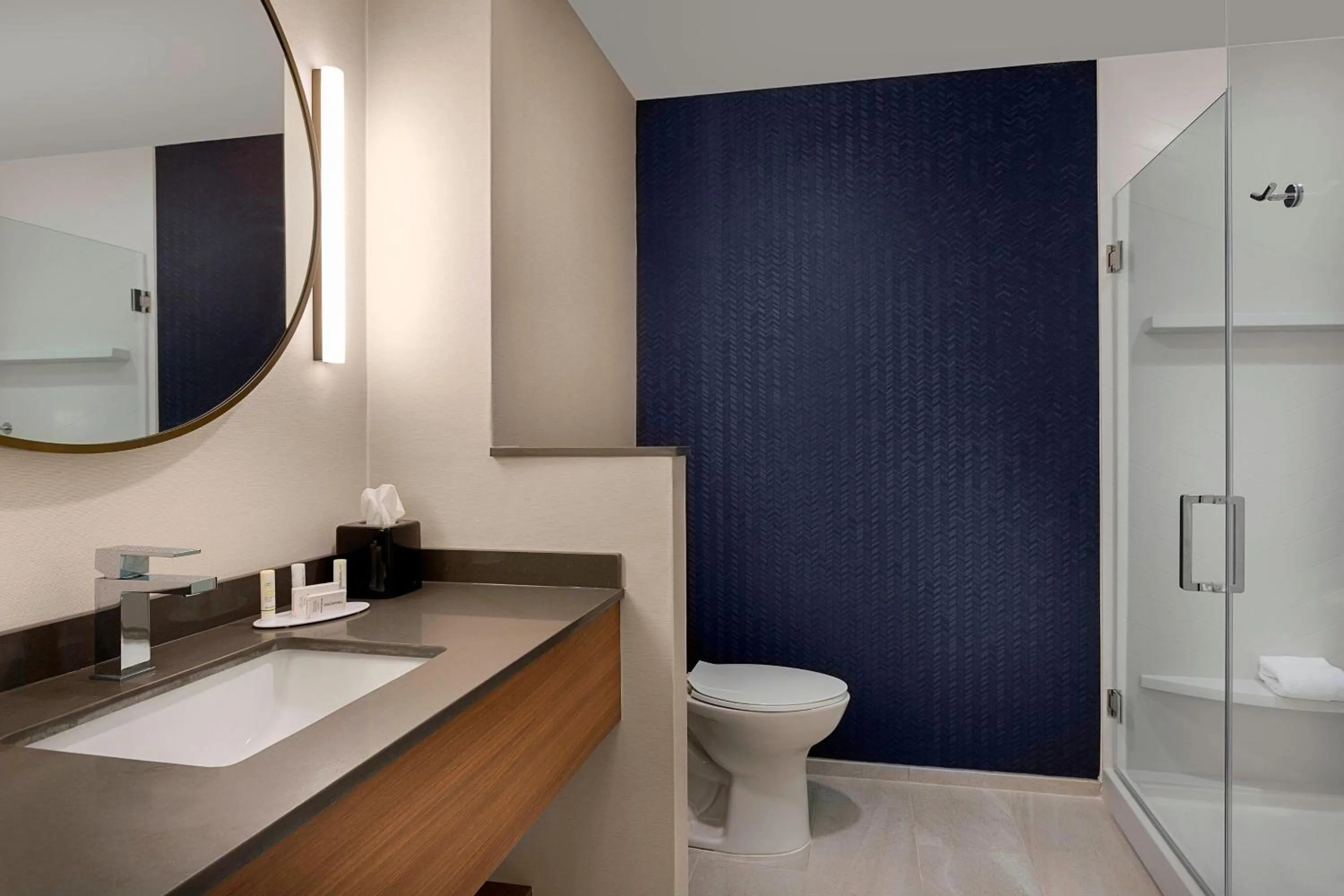 Bathroom in Fairfield Inn & Suites by Marriott Shelby