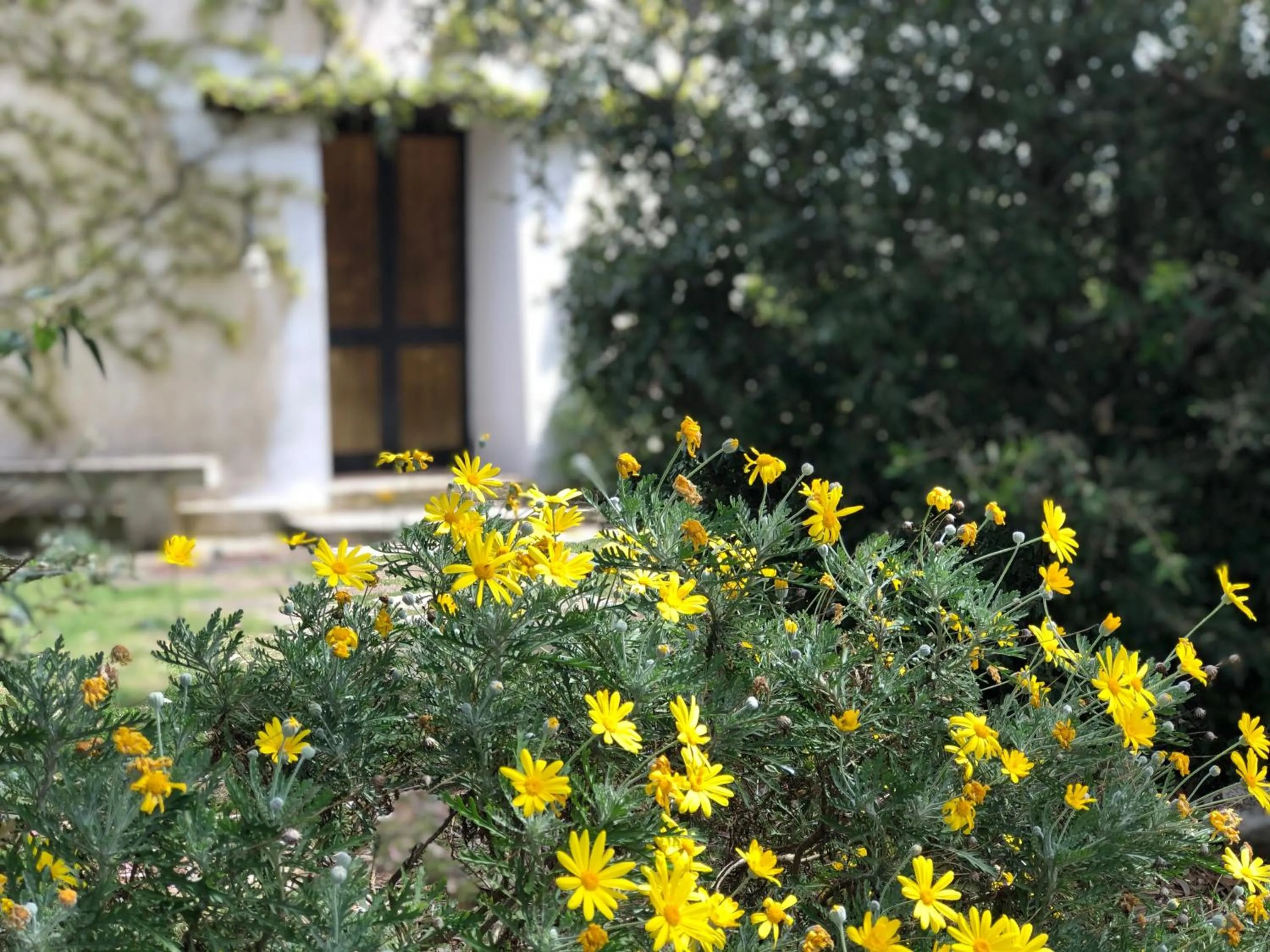 One-Bedroom Deluxe Apartment in Masseria La Torre