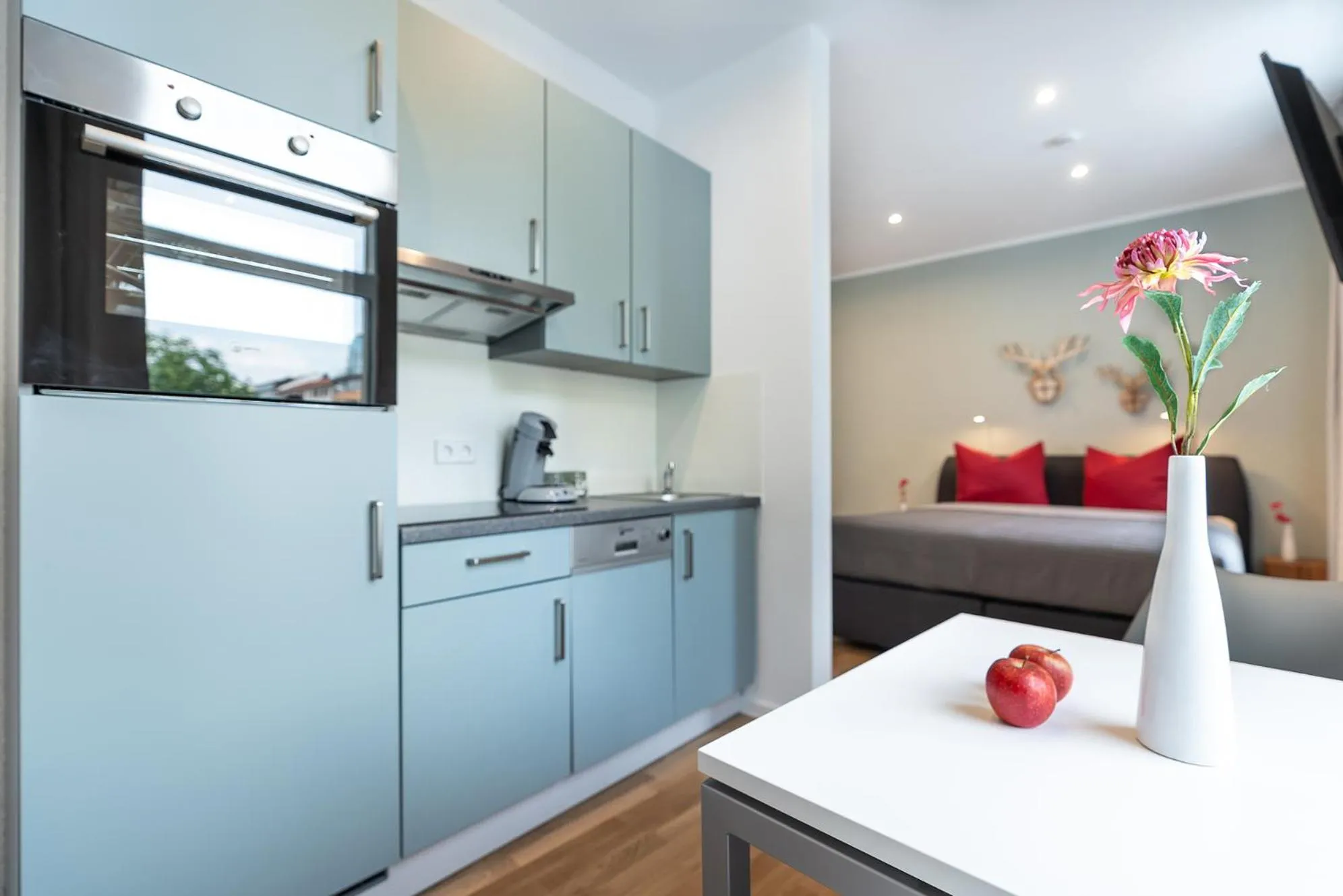 Kitchen or kitchenette in Freiburg Apartments Friedrichring