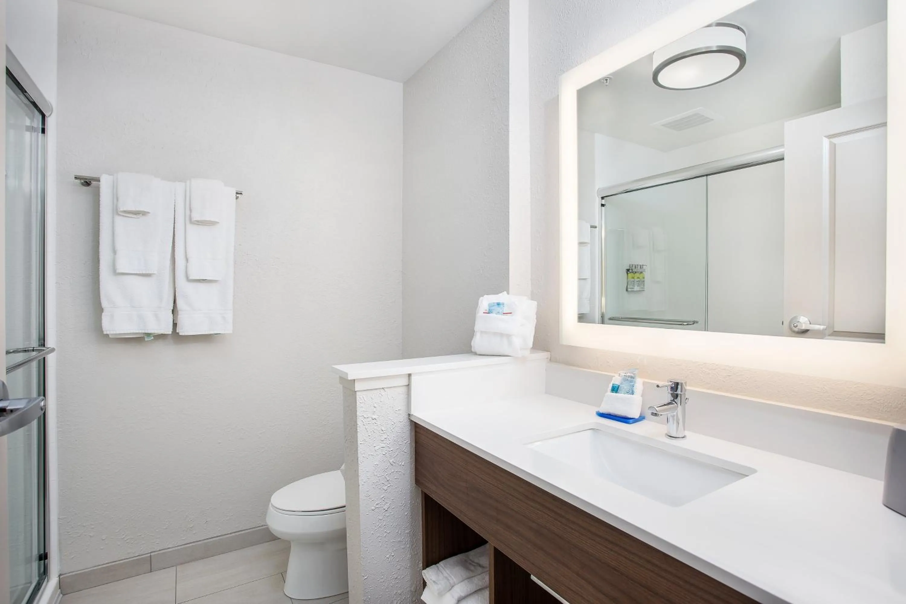 Bathroom in Holiday Inn Express & Suites - Lexington W - Versailles by IHG