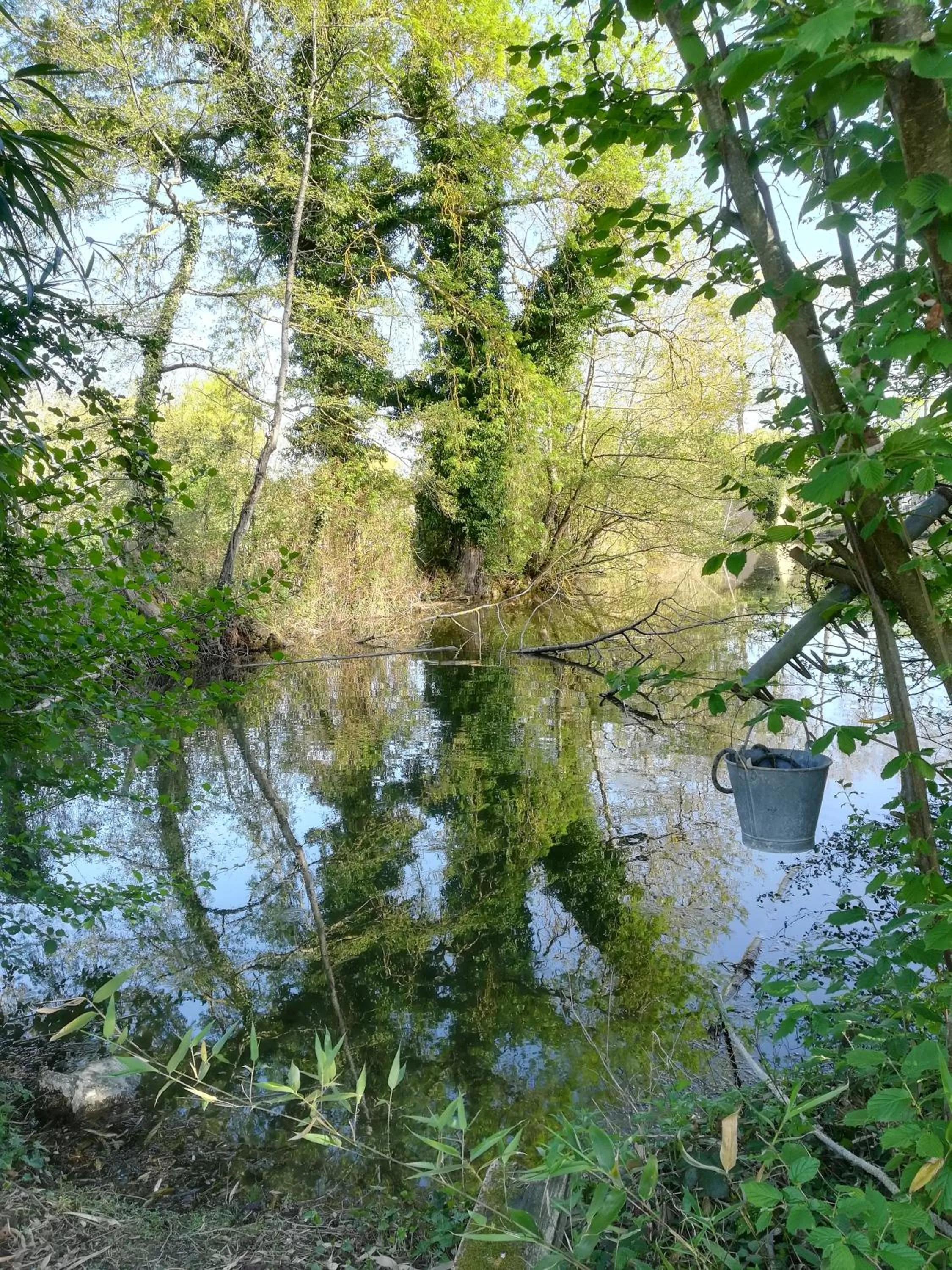 Garden view in Maison Angulus Ridet