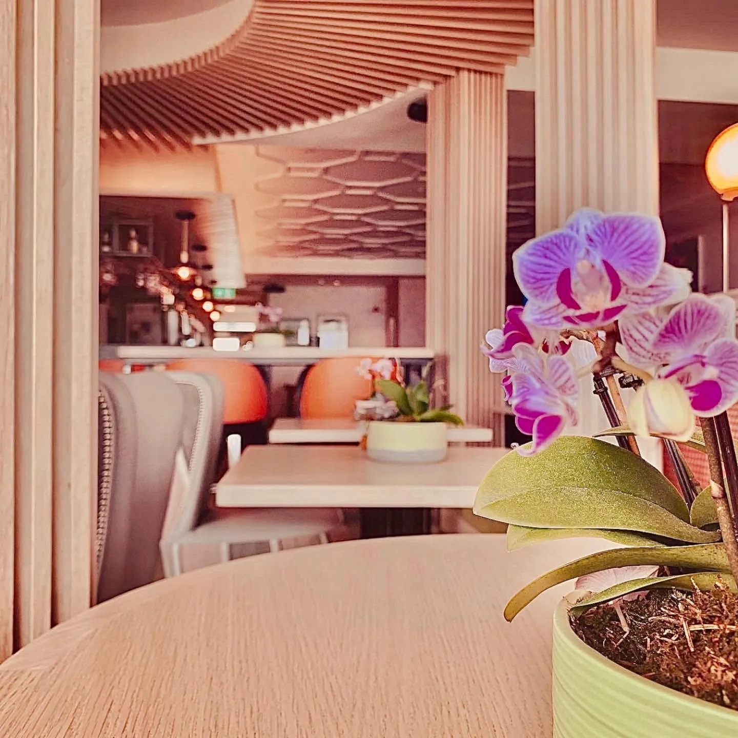 Food and drinks in Bayview Hotel