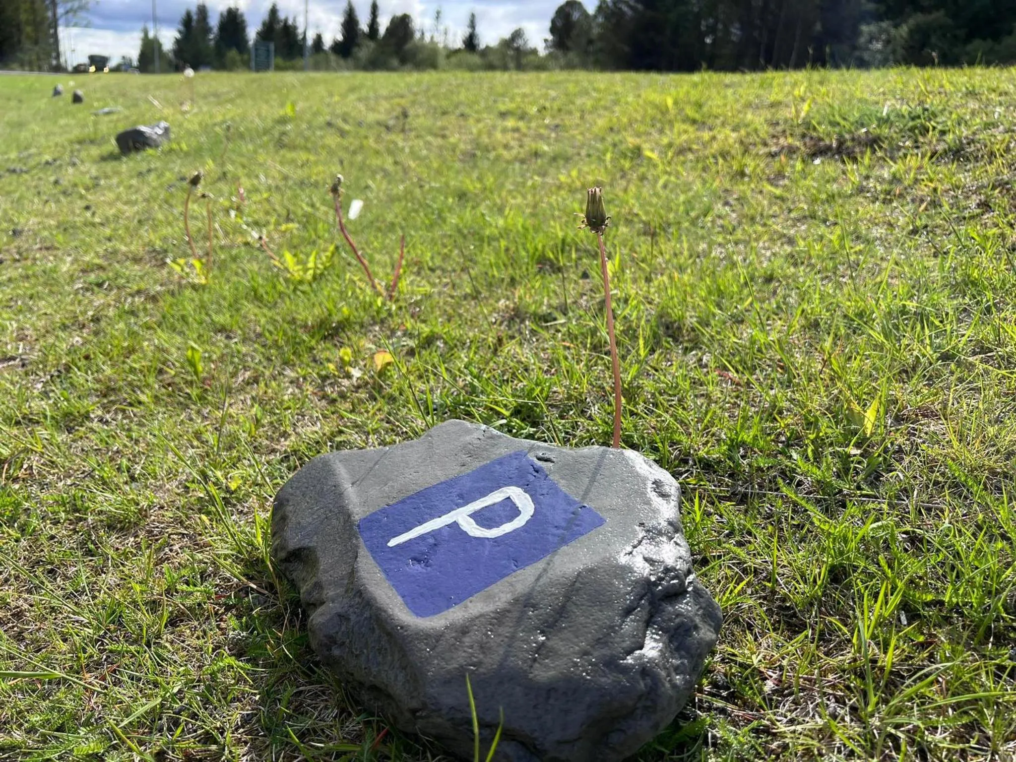 Spring in Bjork Guesthouse