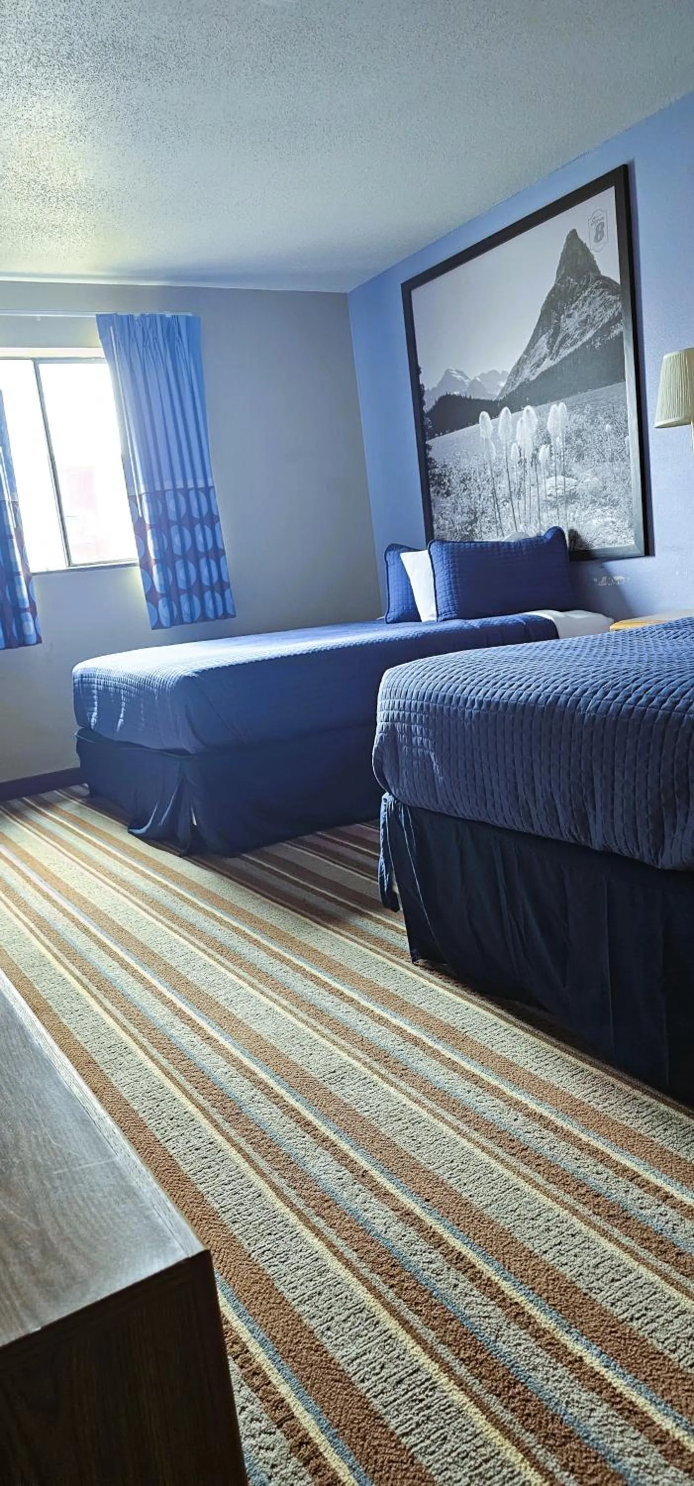 Photo of the whole room, Bed in Grizzly Inn