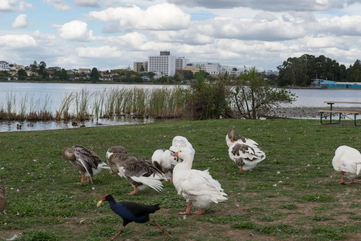 Day in Lake Point Motel