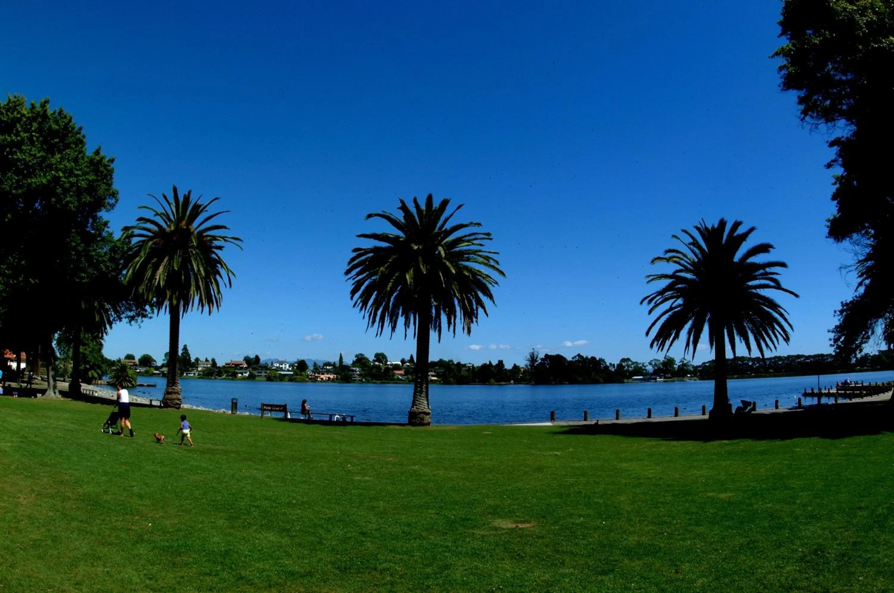 Night in Lake Point Motel