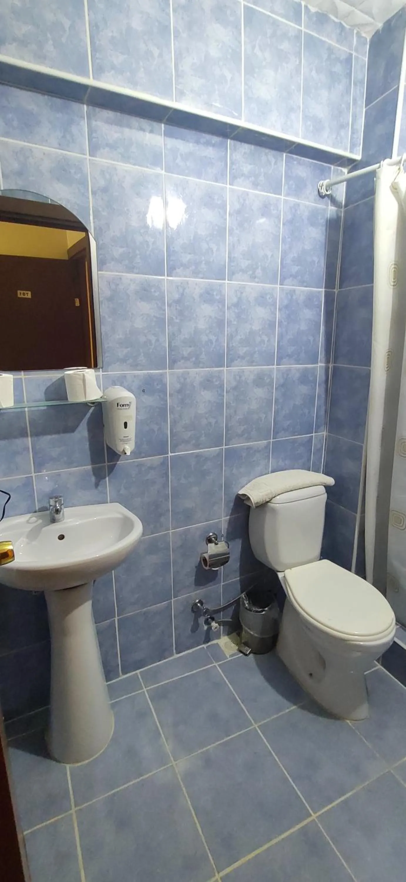 Toilet in şah otel