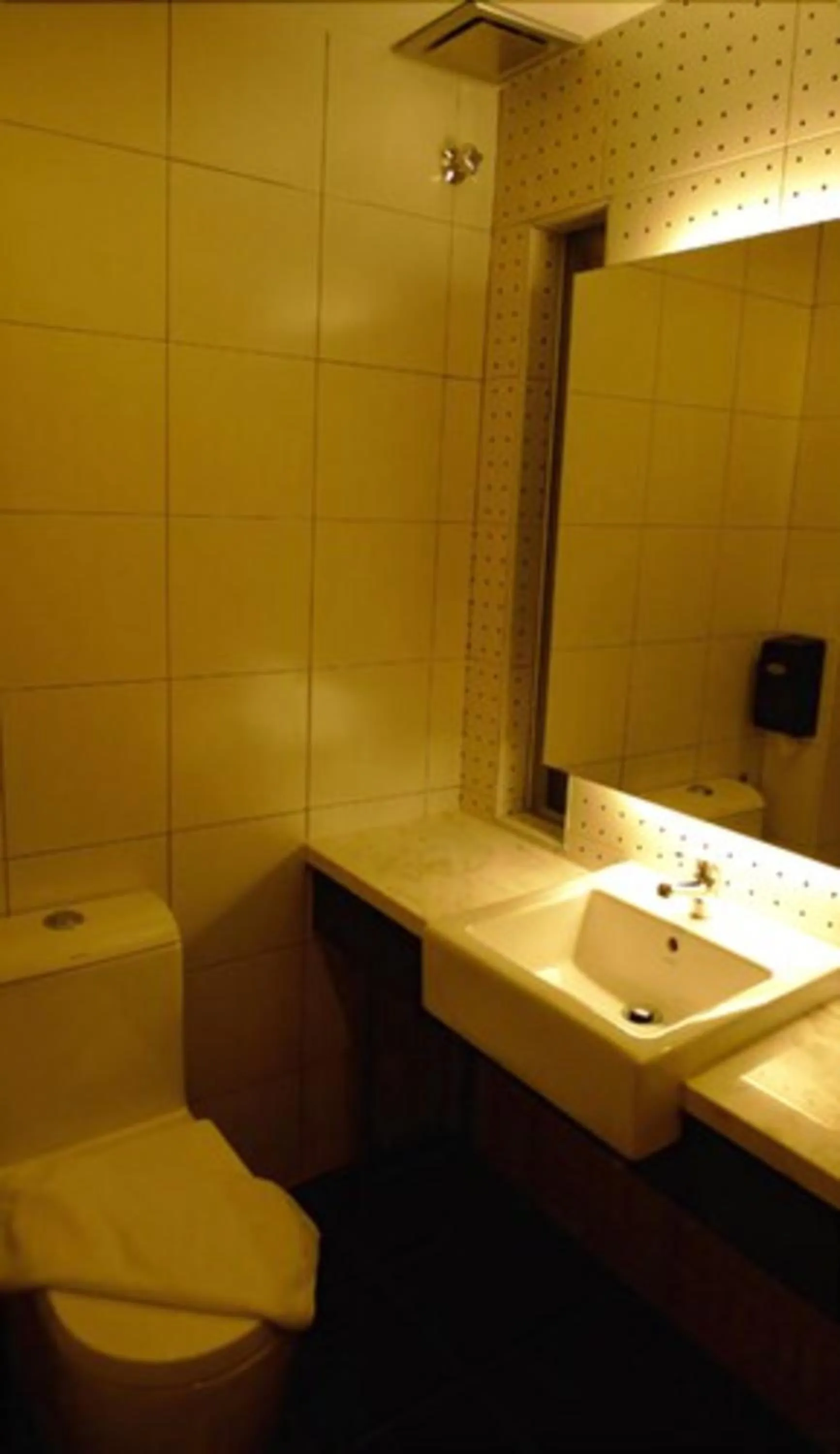 Bathroom in Hotel Austin Paradise