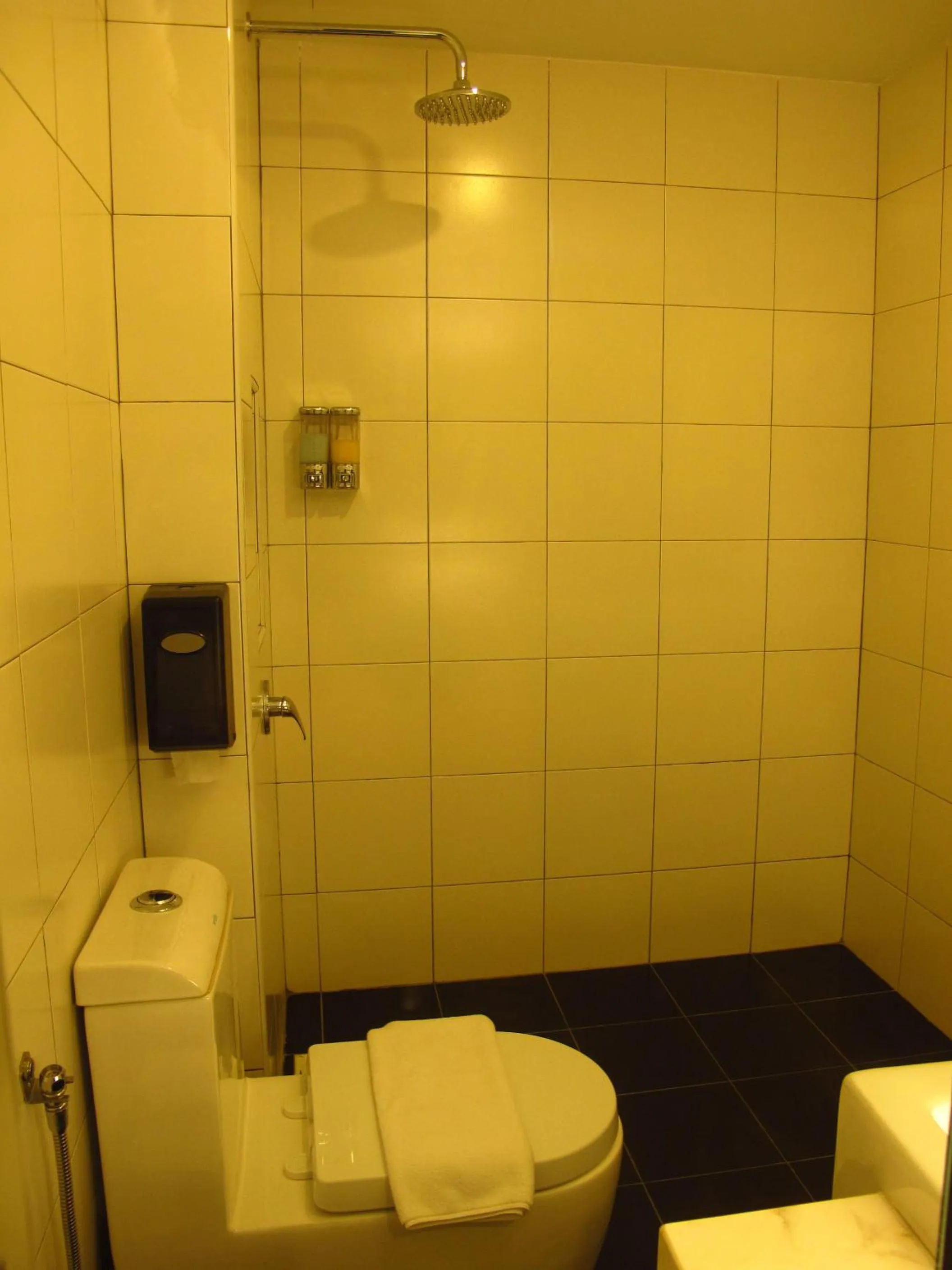 Toilet in Hotel Austin Paradise