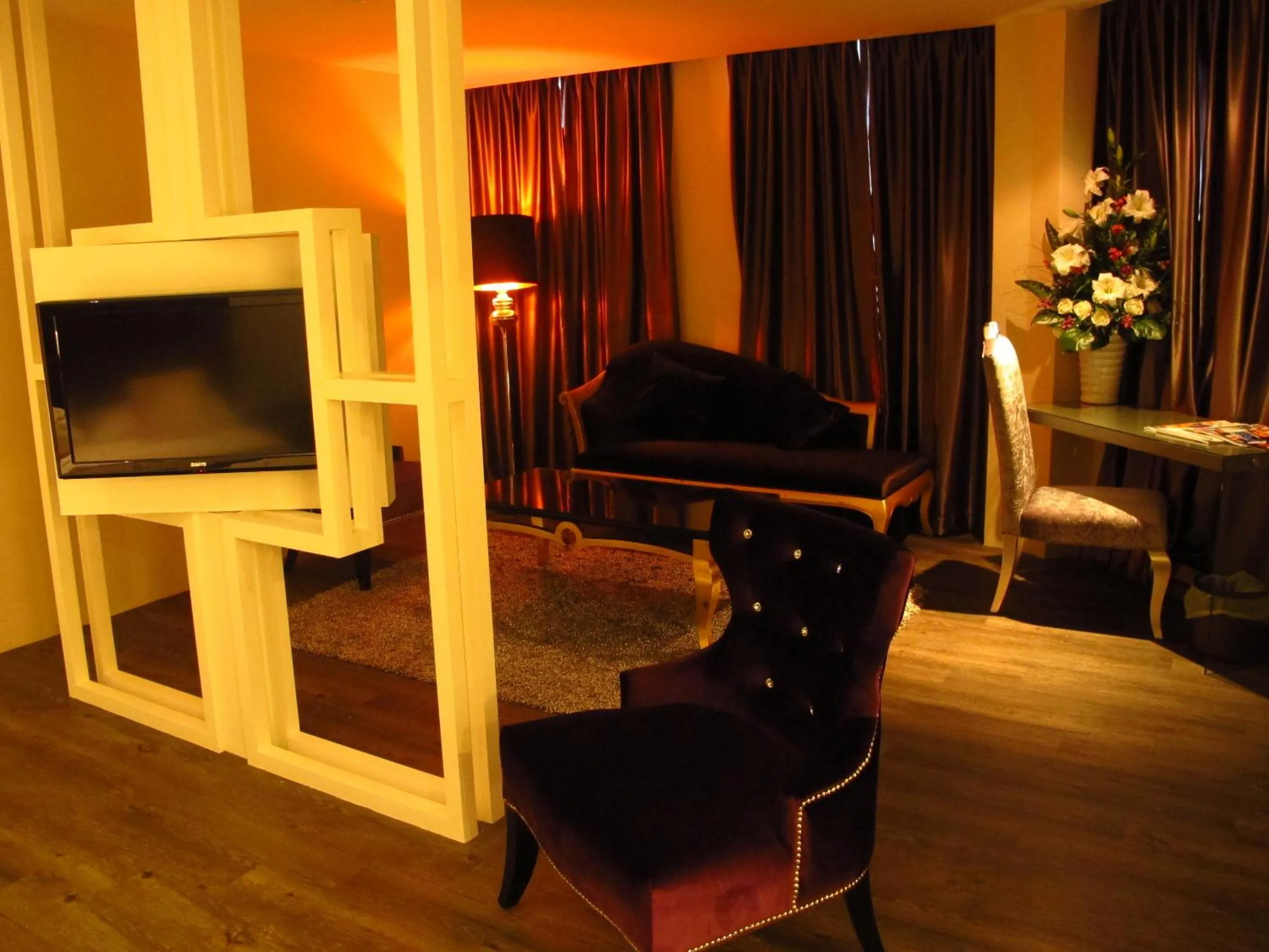 TV and multimedia in Hotel Austin Paradise