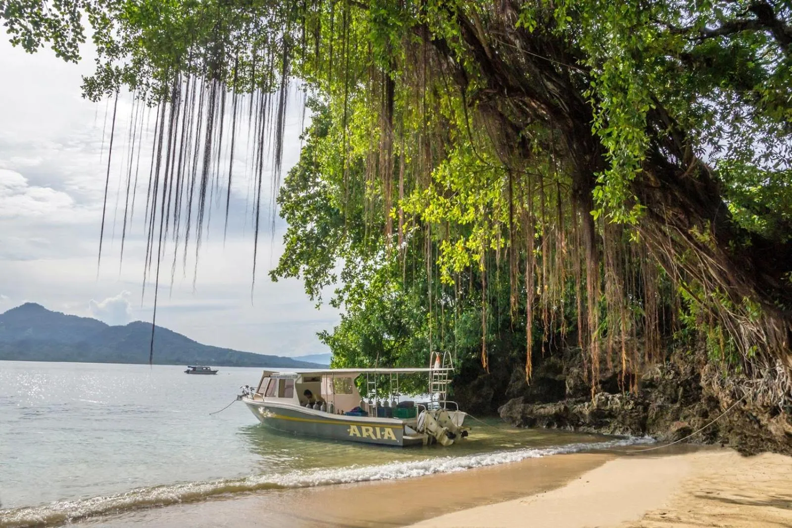 Bunaken Divers Sea Breeze Resort