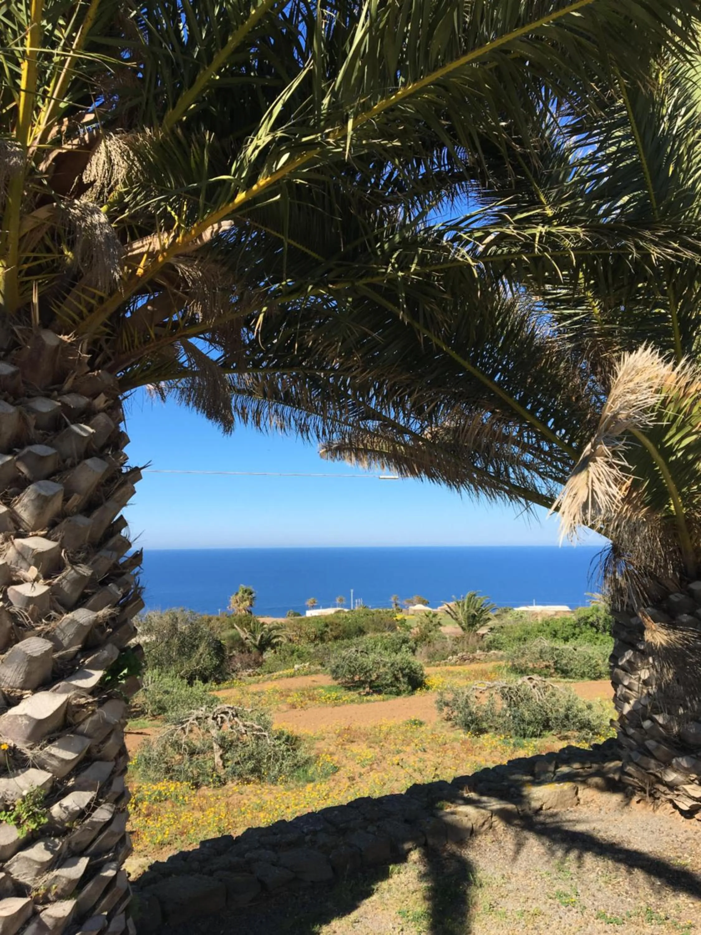 Garden in Residenza Khaddiuggia