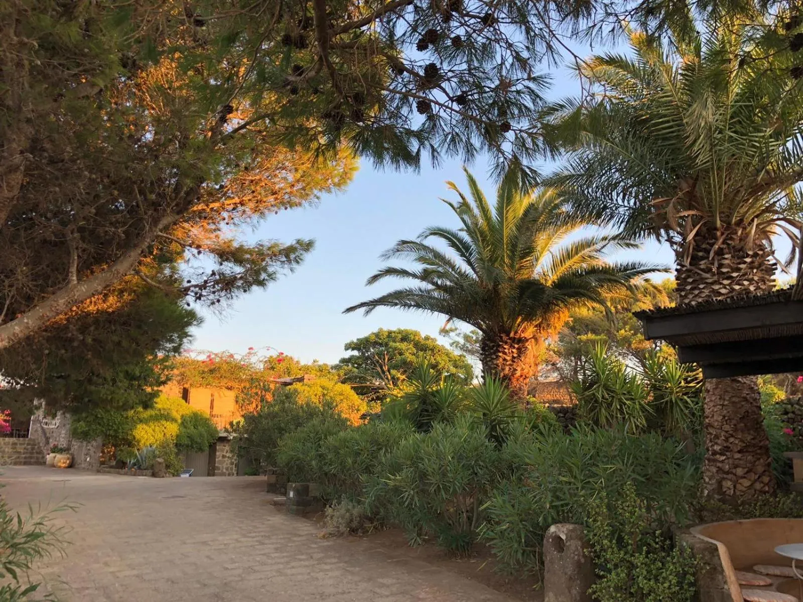 Garden in Residenza Khaddiuggia