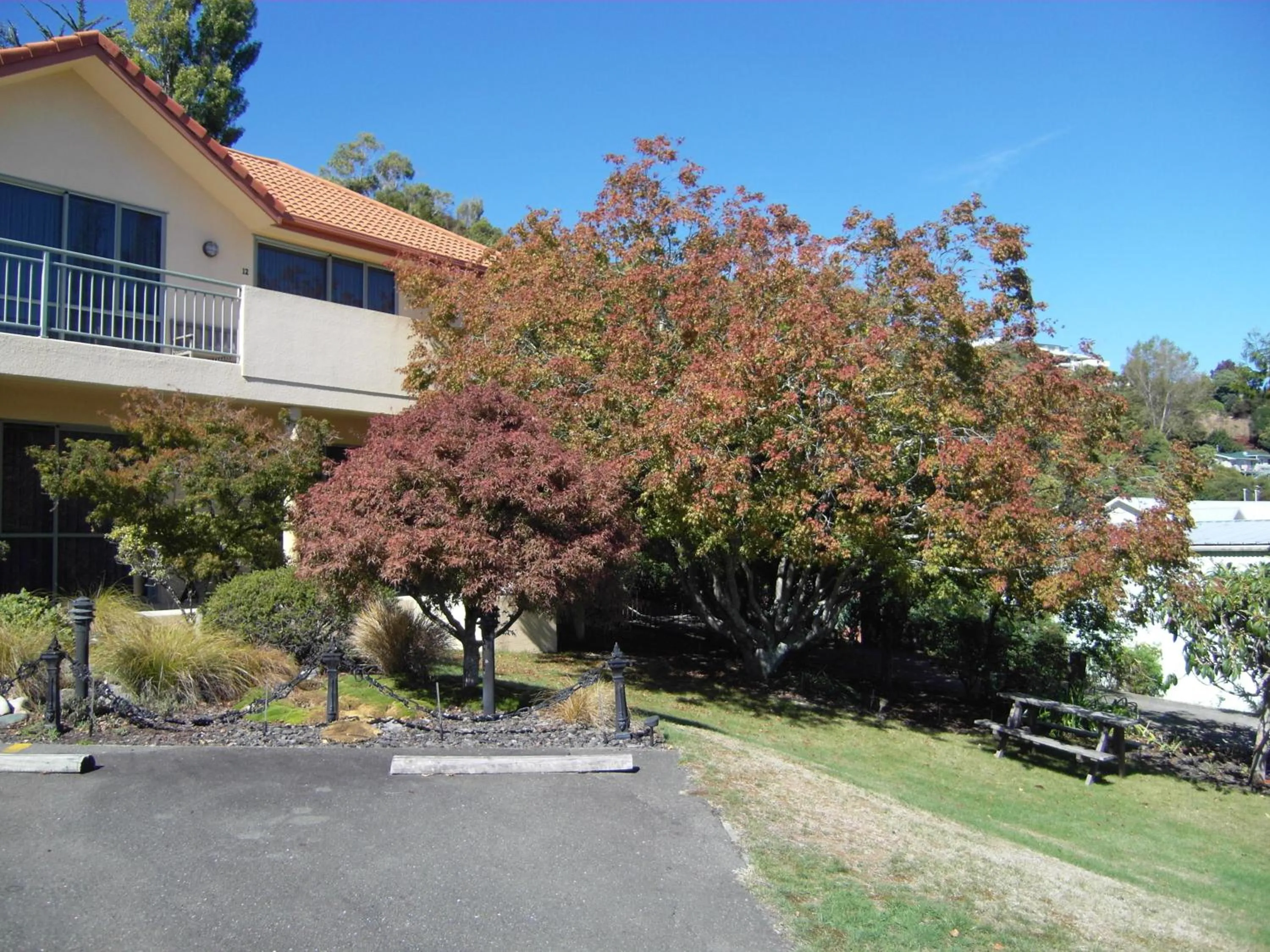 Garden in Abelia Motor Lodge