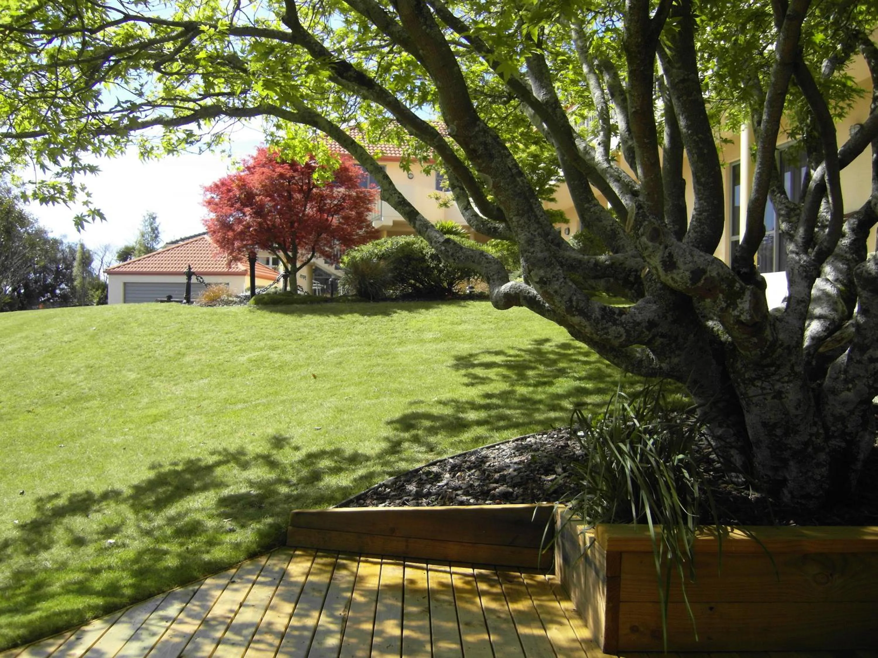 Garden in Abelia Motor Lodge