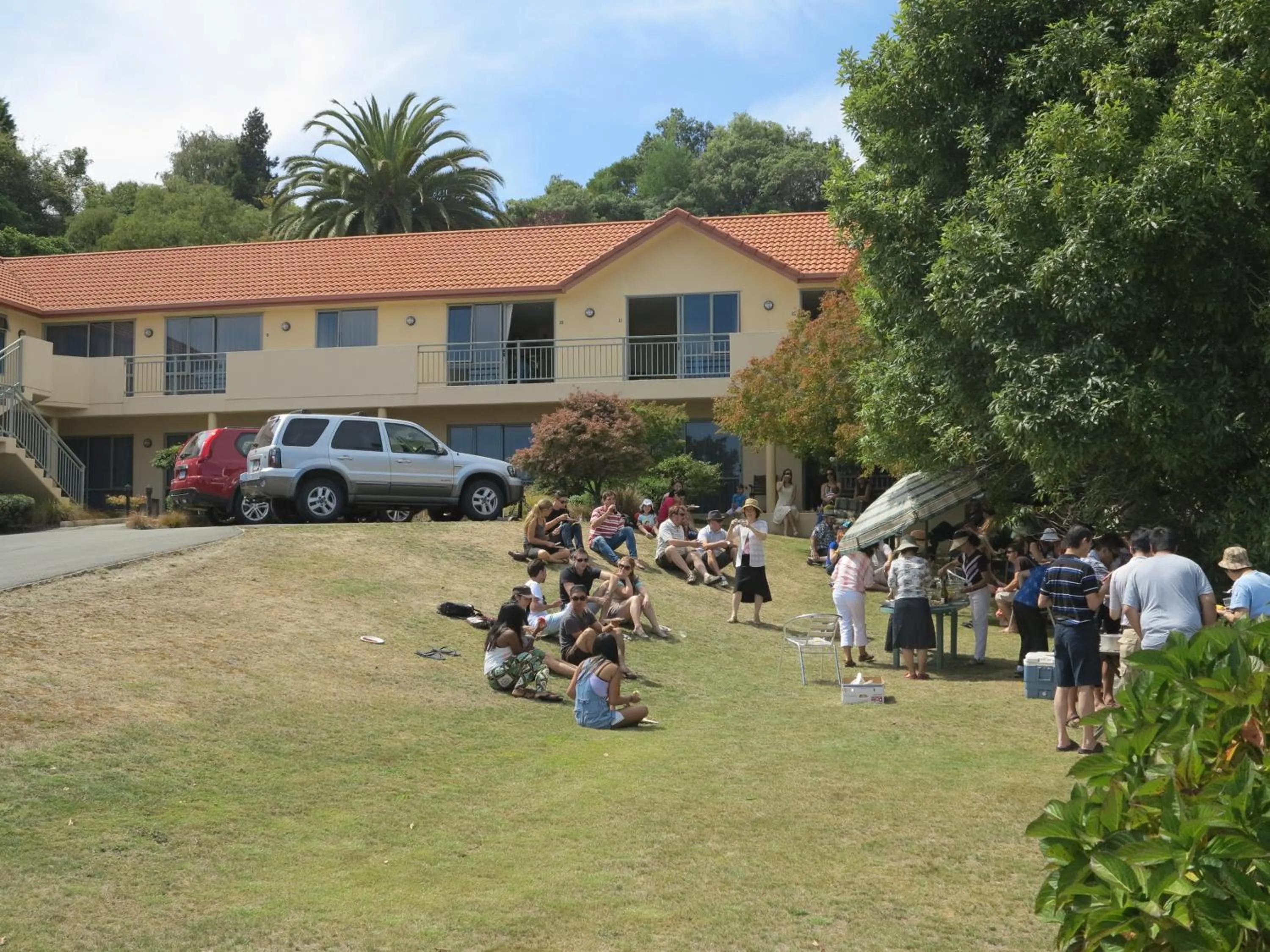 Garden in Abelia Motor Lodge
