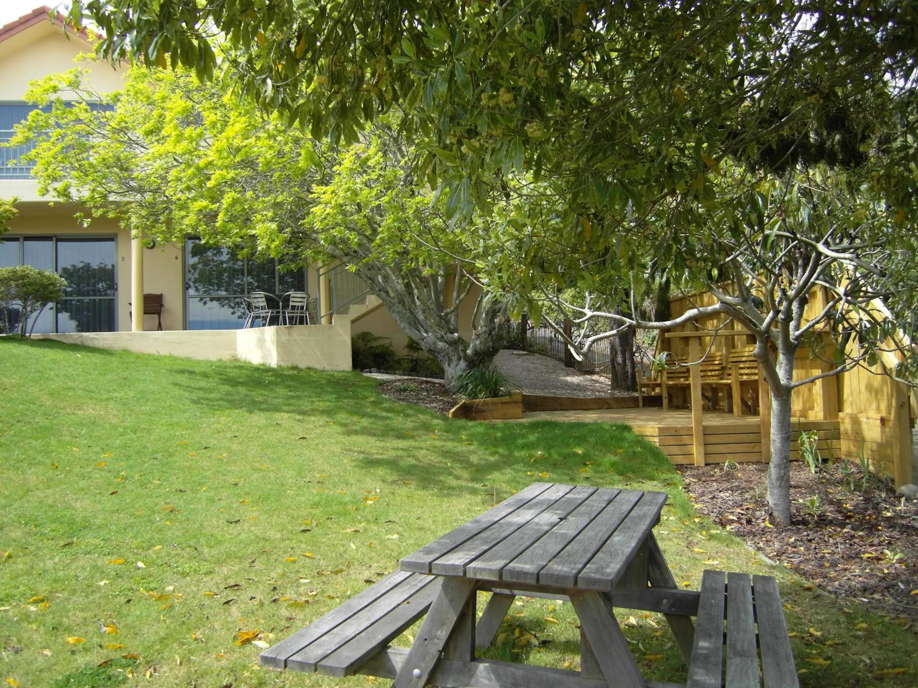 Garden in Abelia Motor Lodge