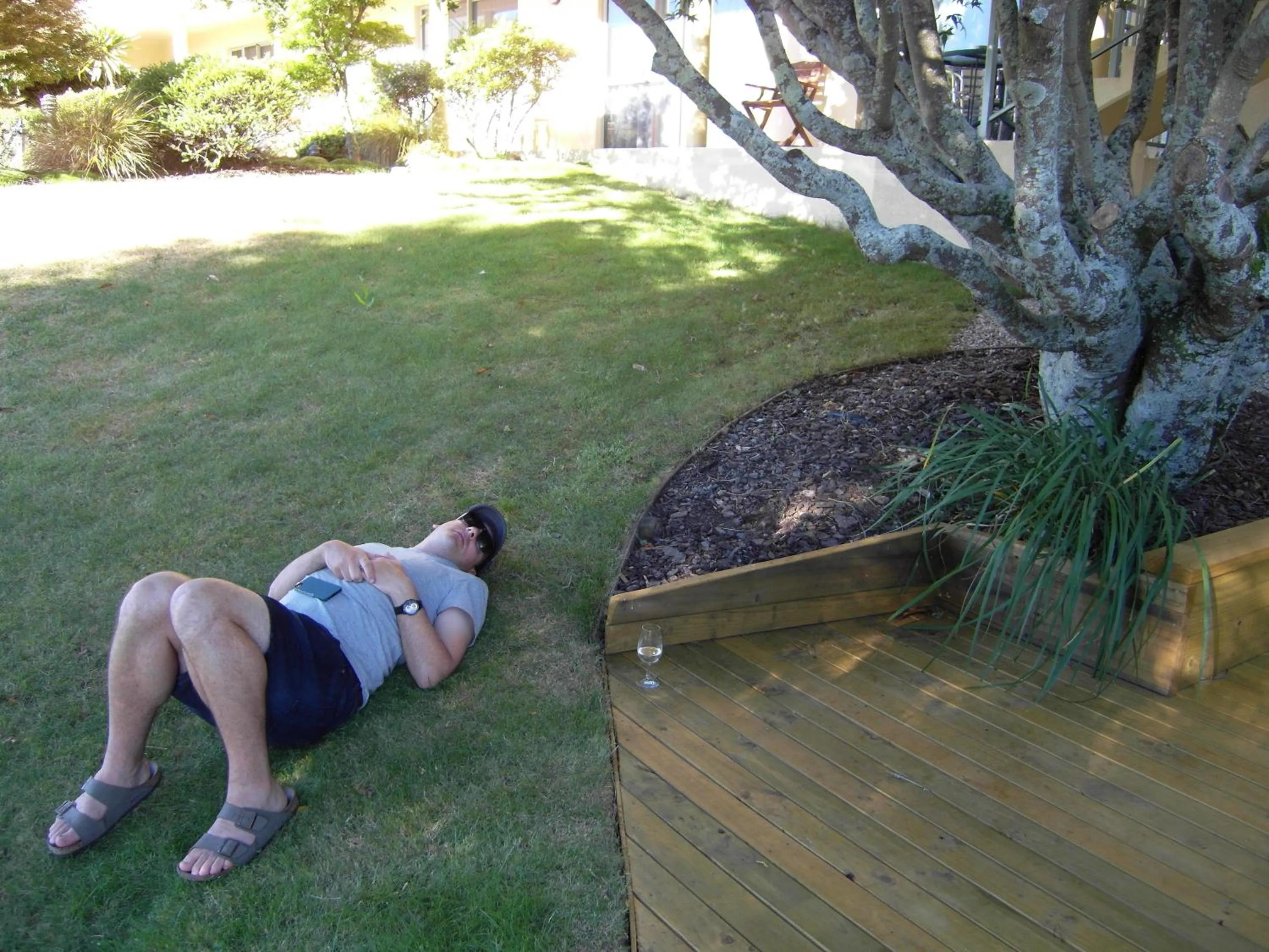 Garden in Abelia Motor Lodge