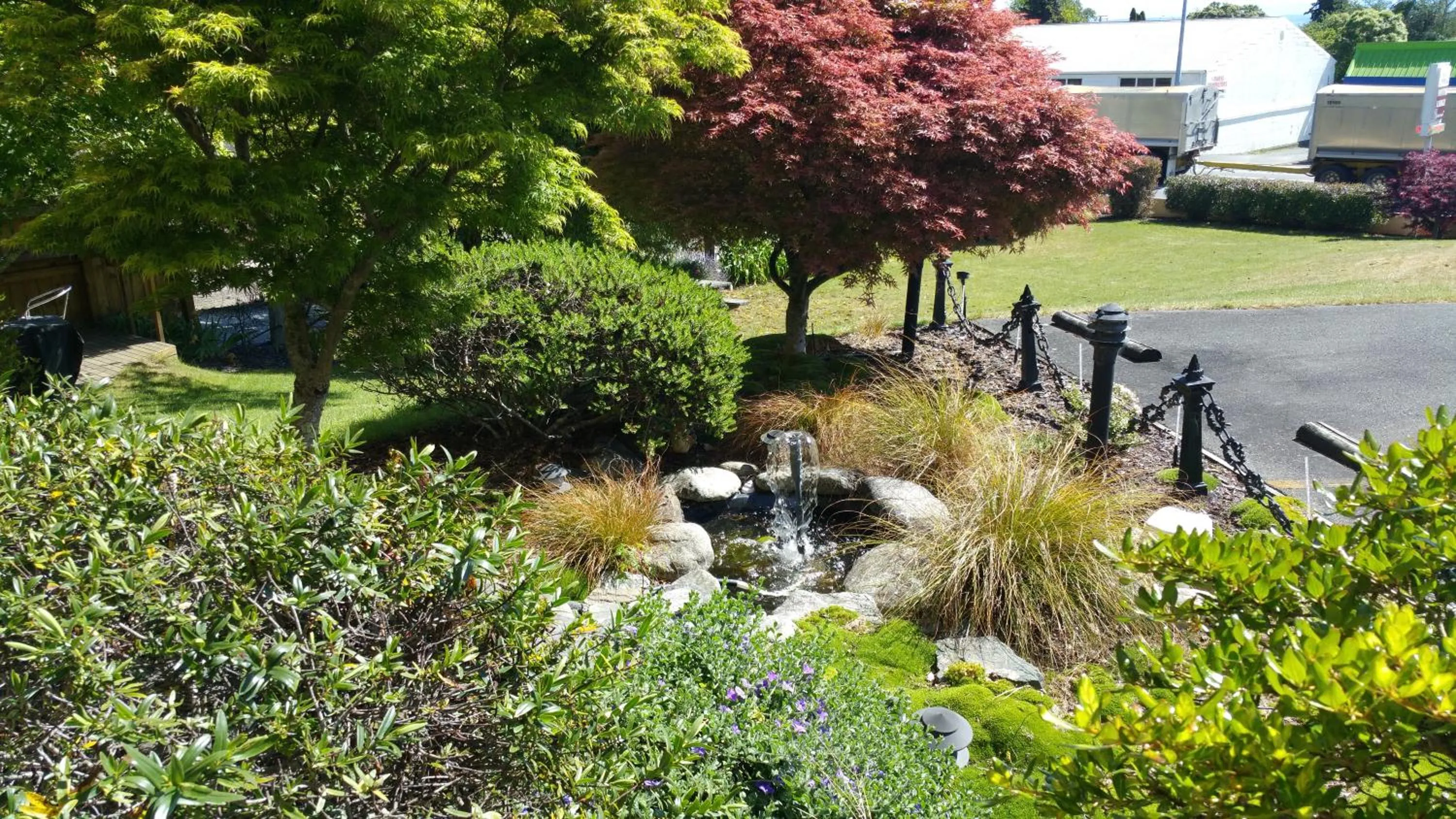 Garden in Abelia Motor Lodge