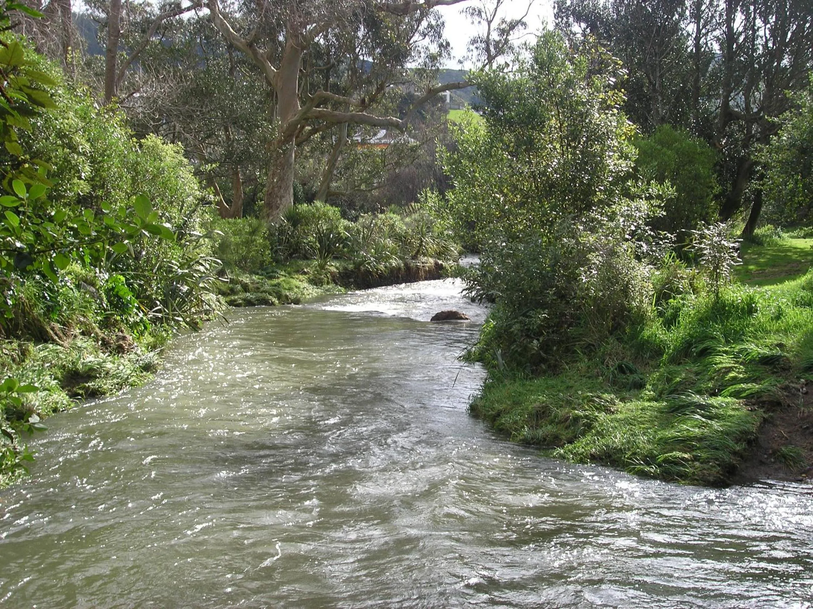 Natural landscape in Bucket Tree Lodge