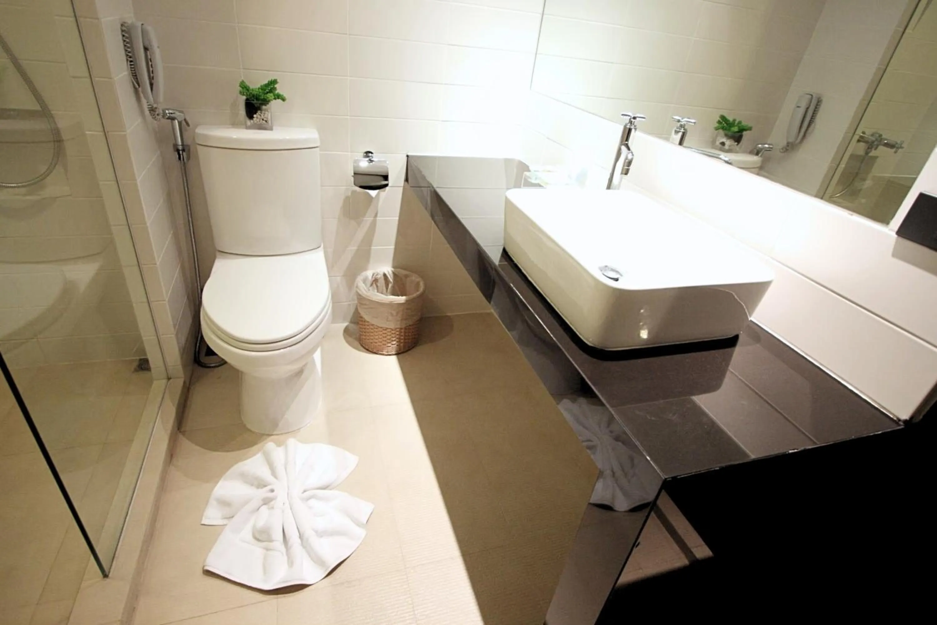 Shower in Bangkok Inter Place