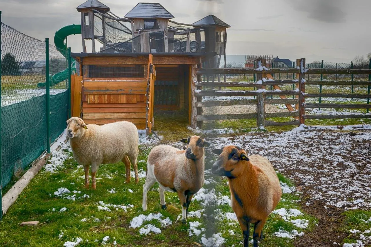 Animals in Tatragolf Mountain Resort