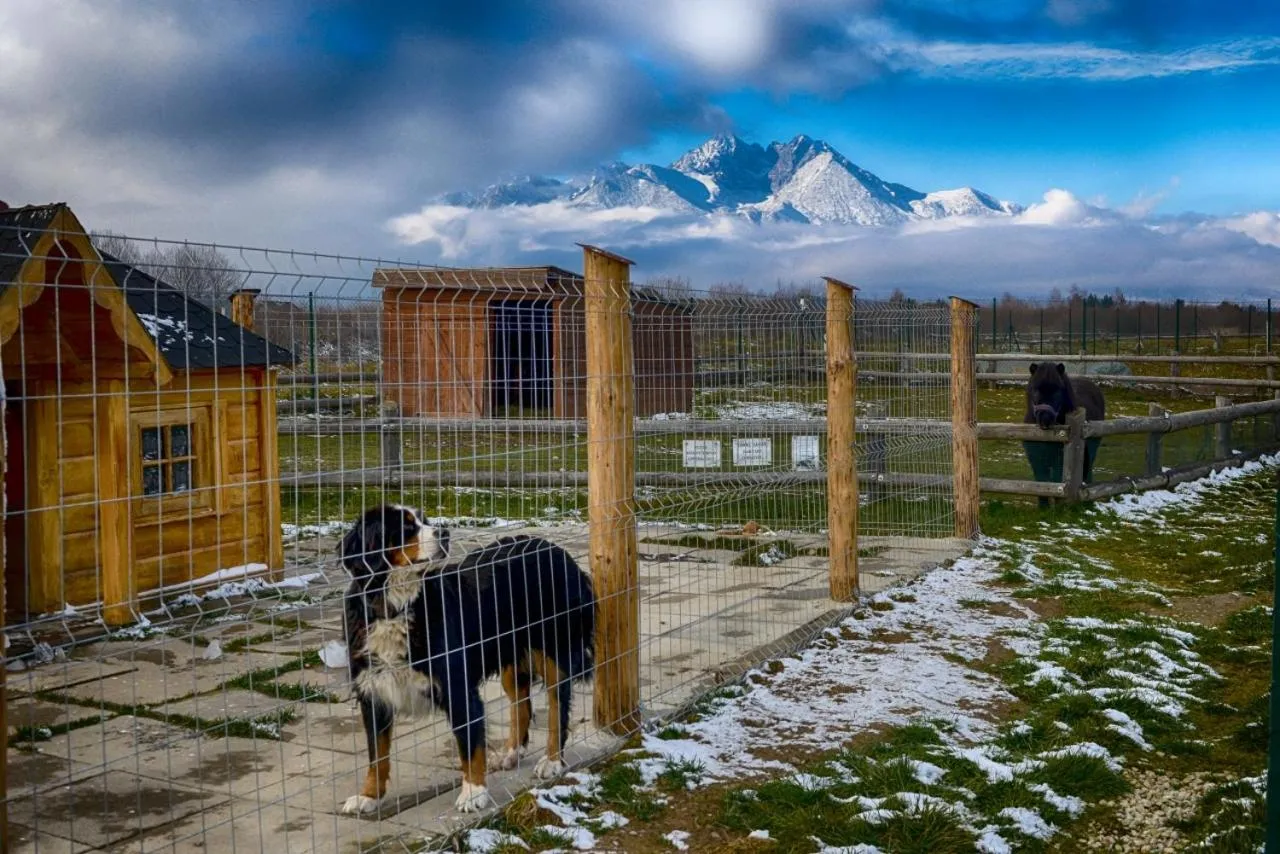 Pets in Tatragolf Mountain Resort